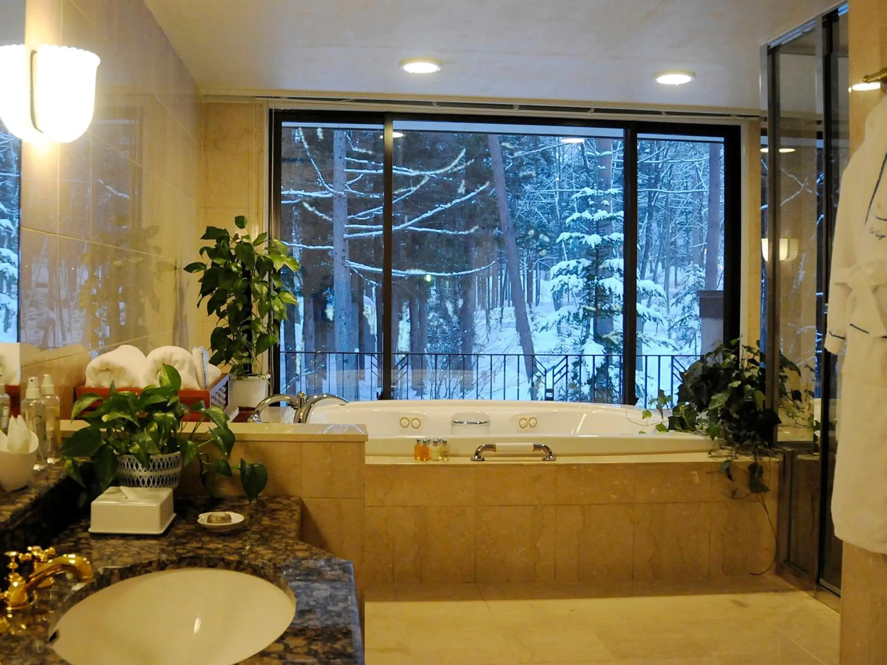 Bathroom in Hakuba Resort Hotel La Neige Higashikan