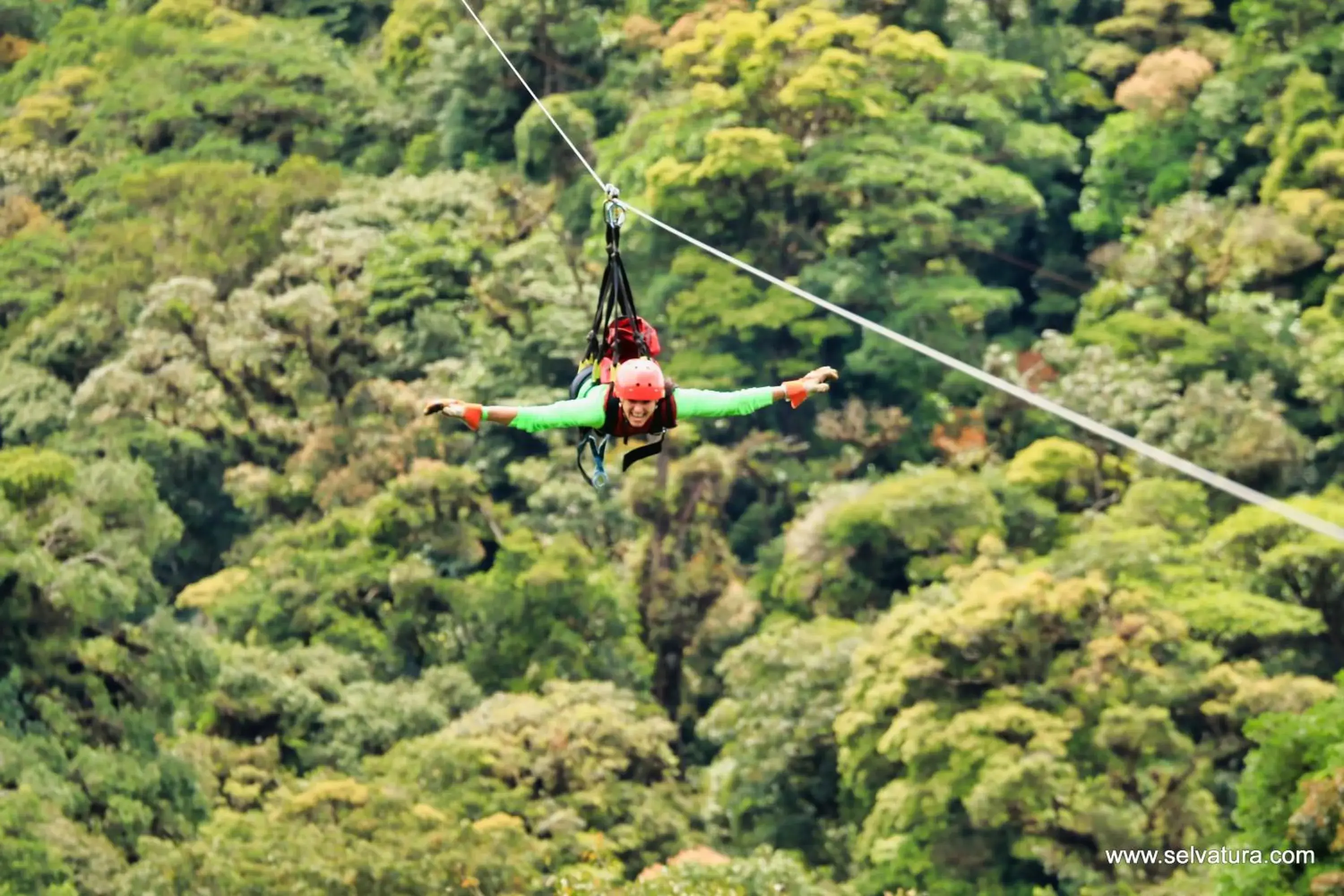 People, Other Activities in Hotel Ficus - Monteverde