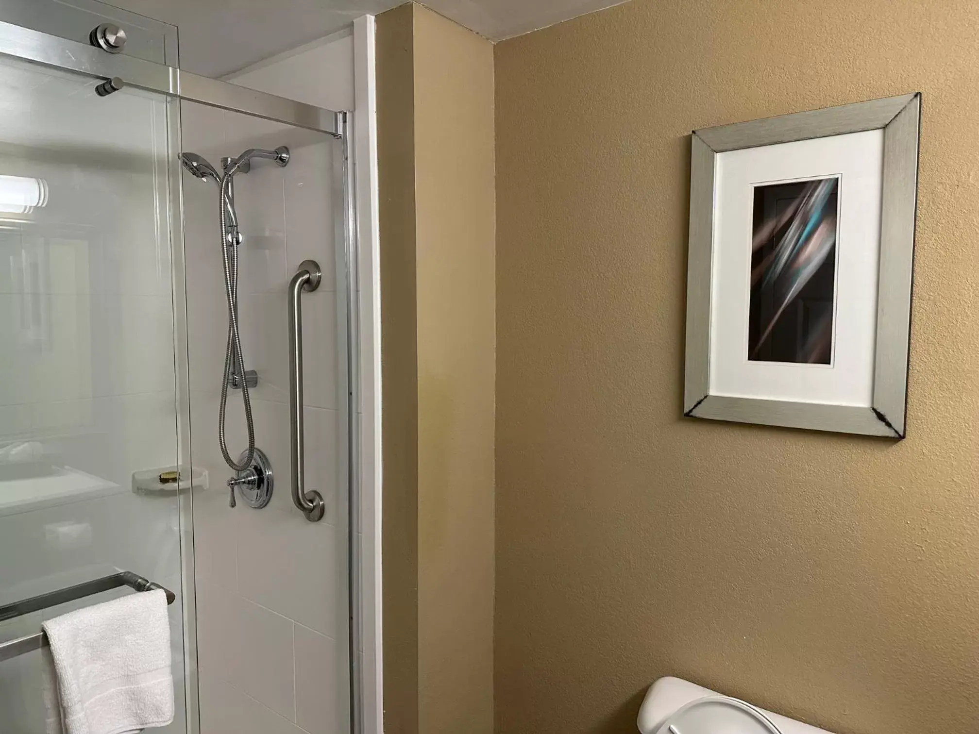 Shower, Bathroom in Best Western Plus Harrisburg East Inn & Suites