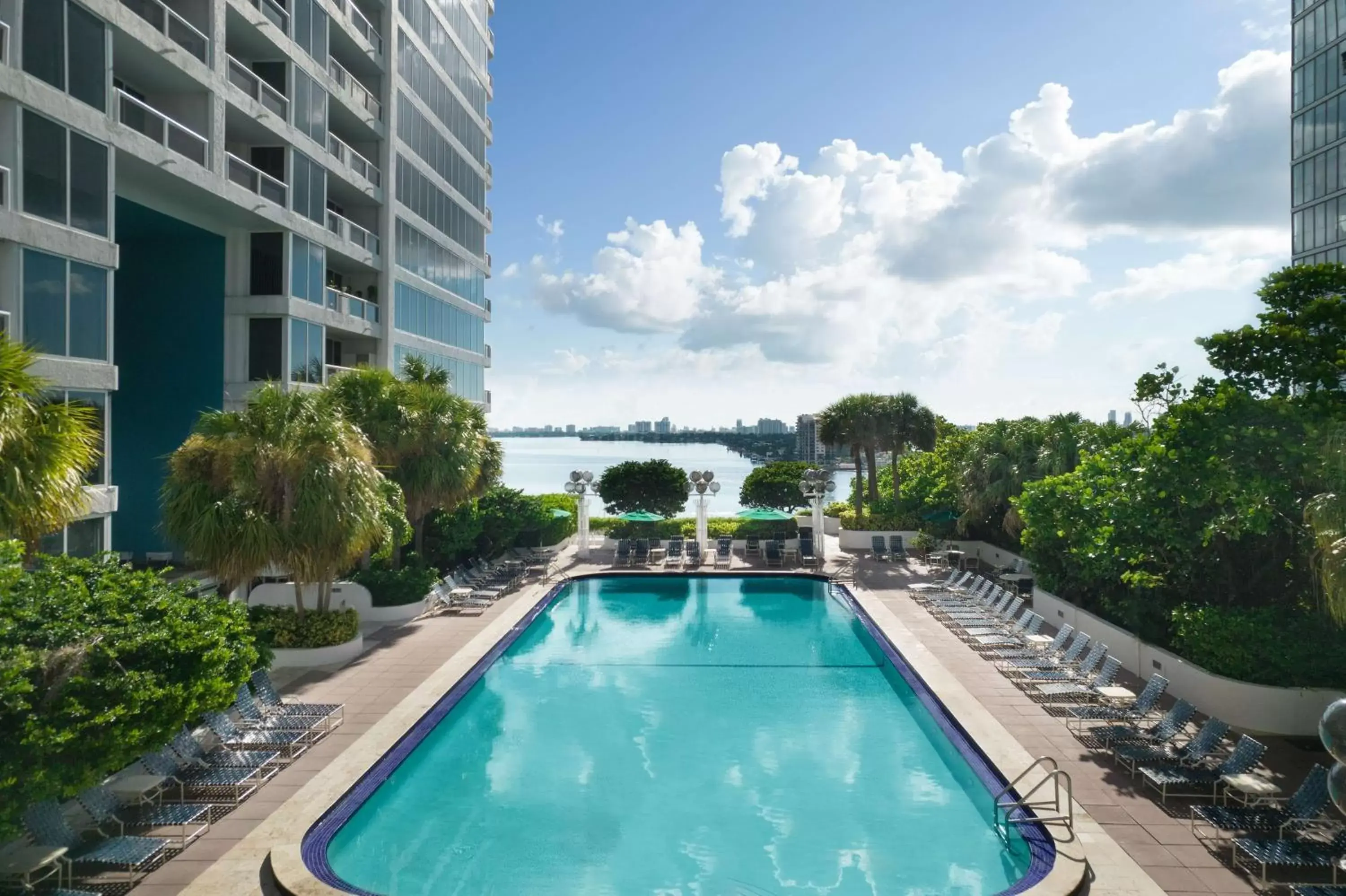 Pool view, Swimming Pool in DoubleTree by Hilton Grand Hotel Biscayne Bay