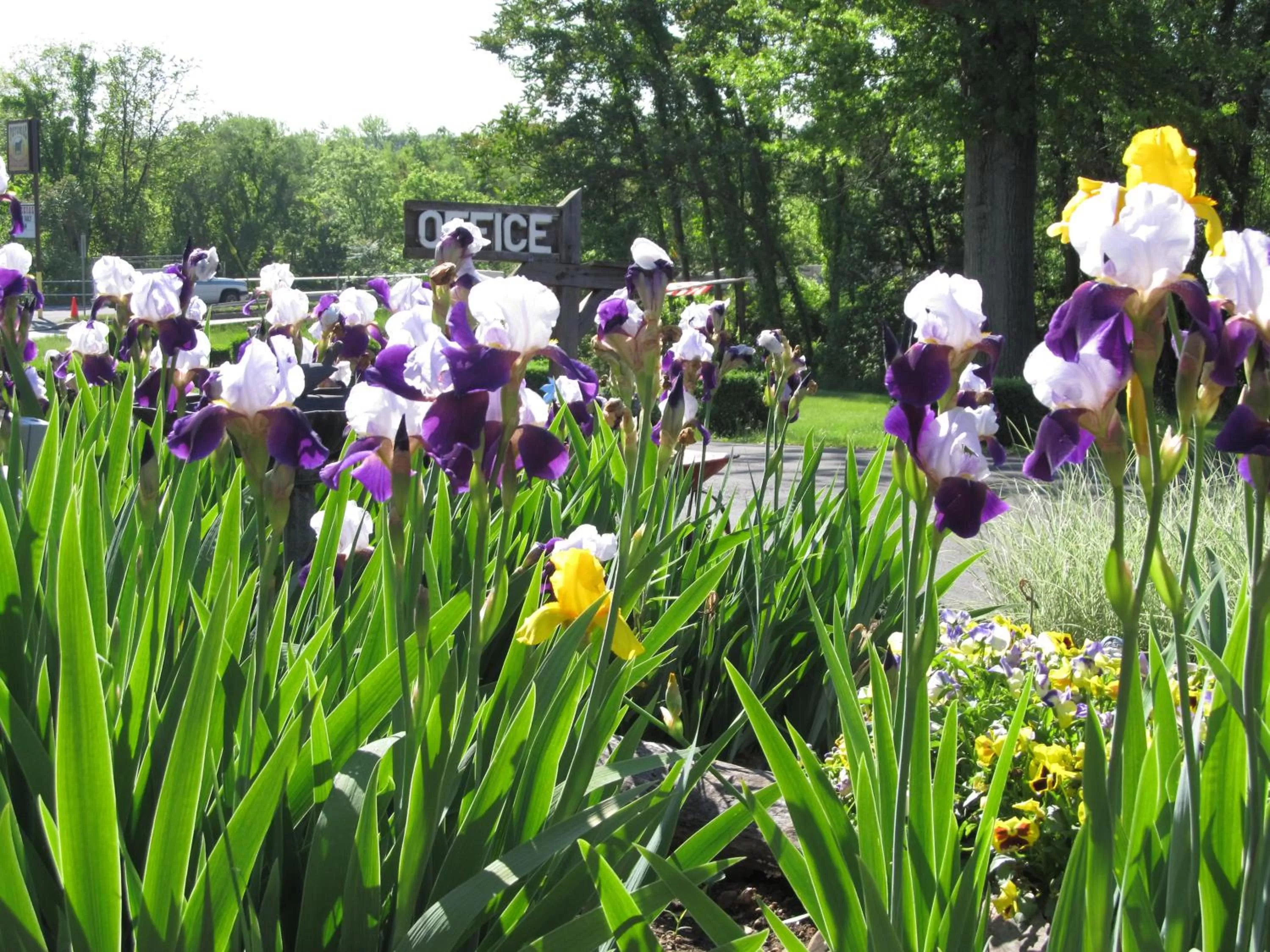 Other in Hancock Motel