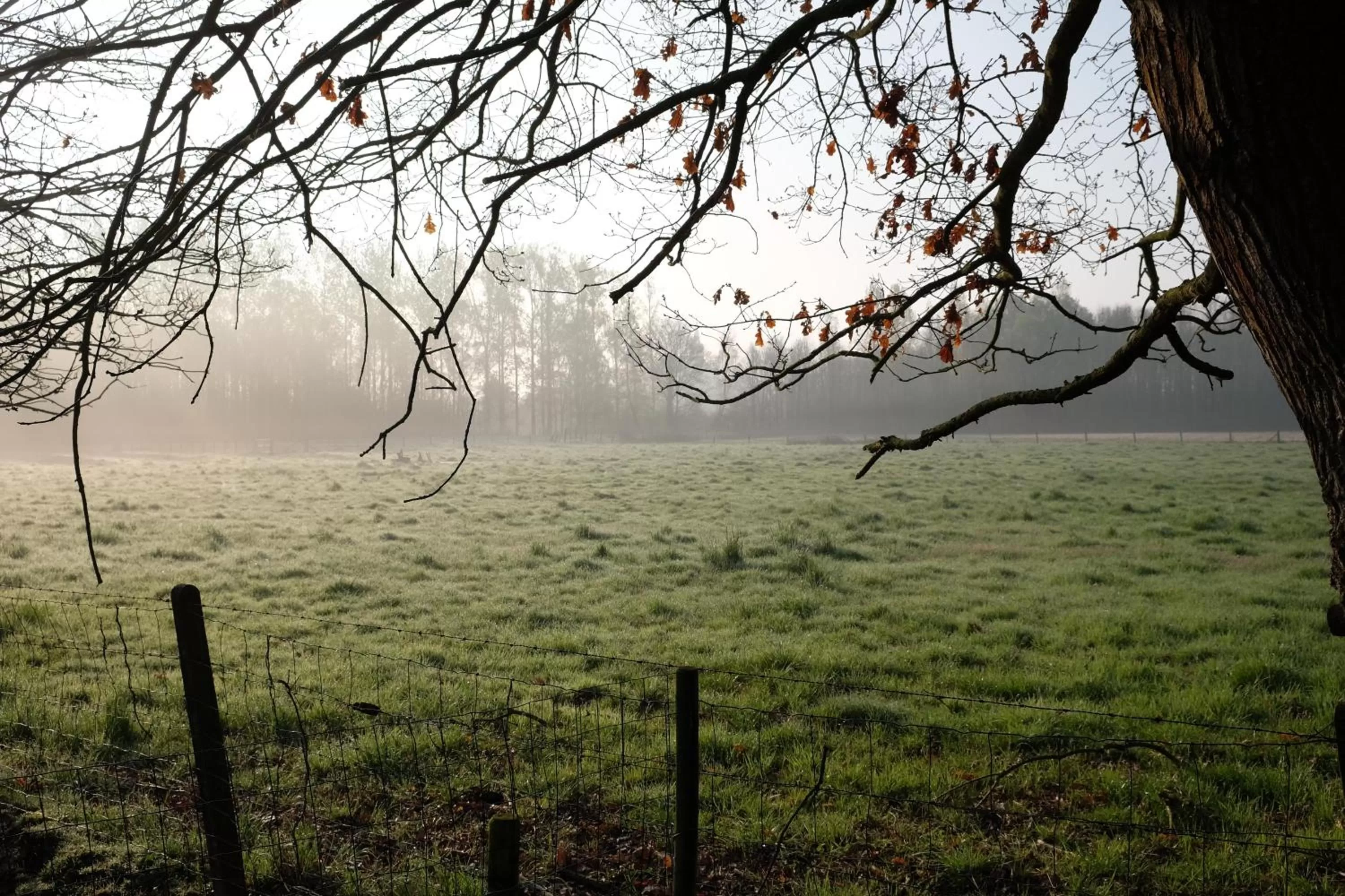 Neighbourhood in B&B Silentium
