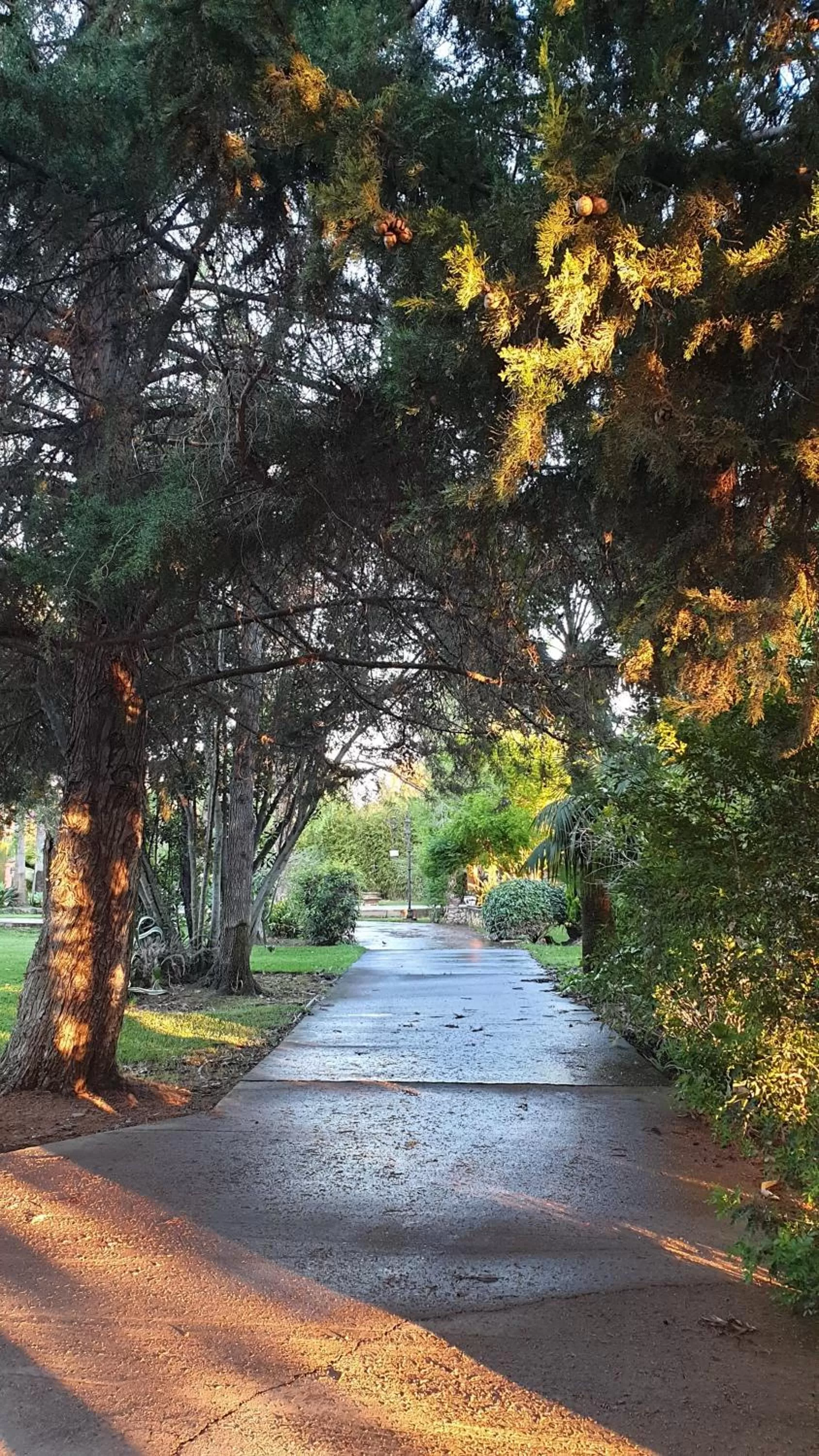 Garden view in La Casa del Torreón