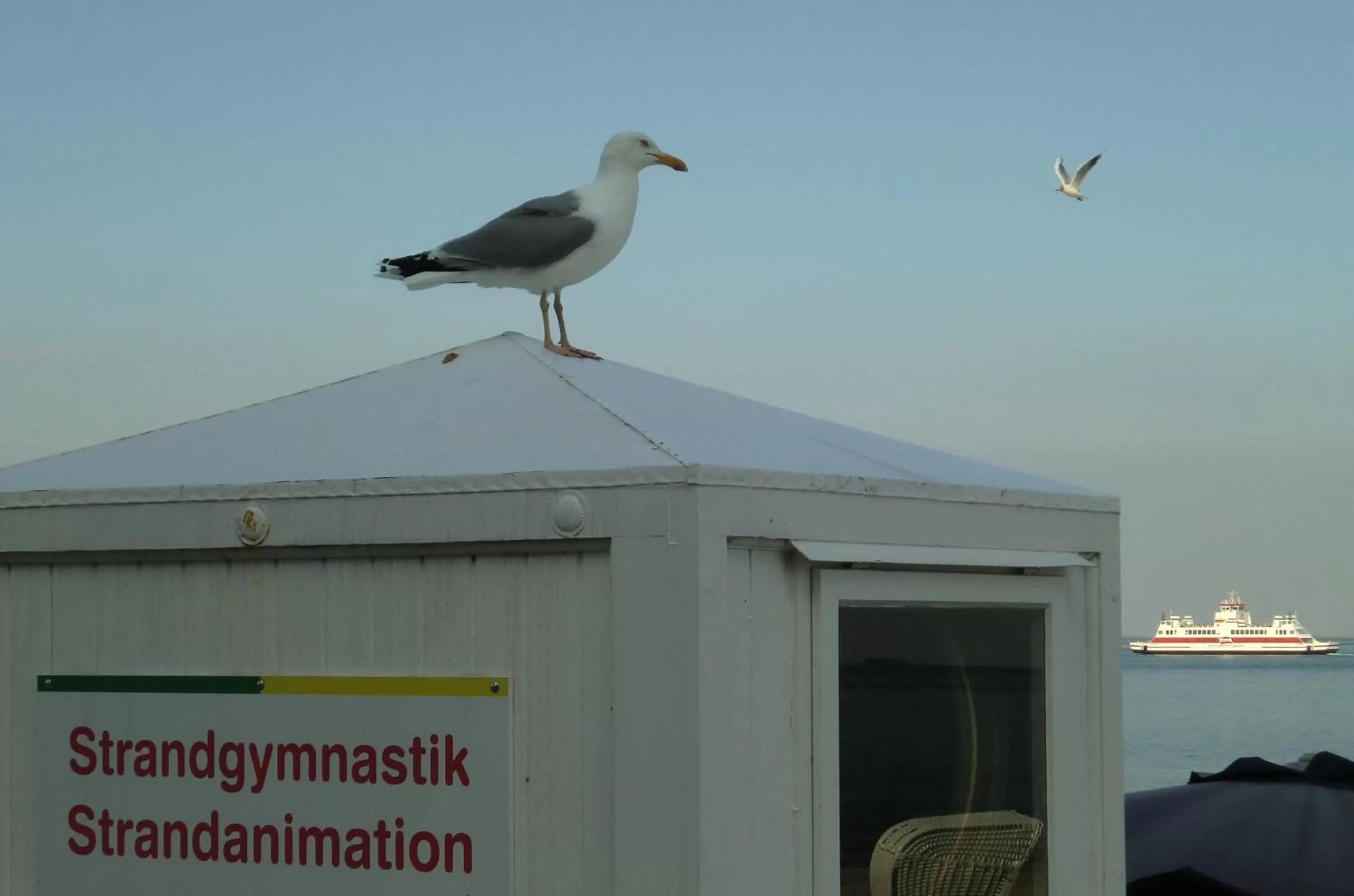 Beach in Duus Hotel garni
