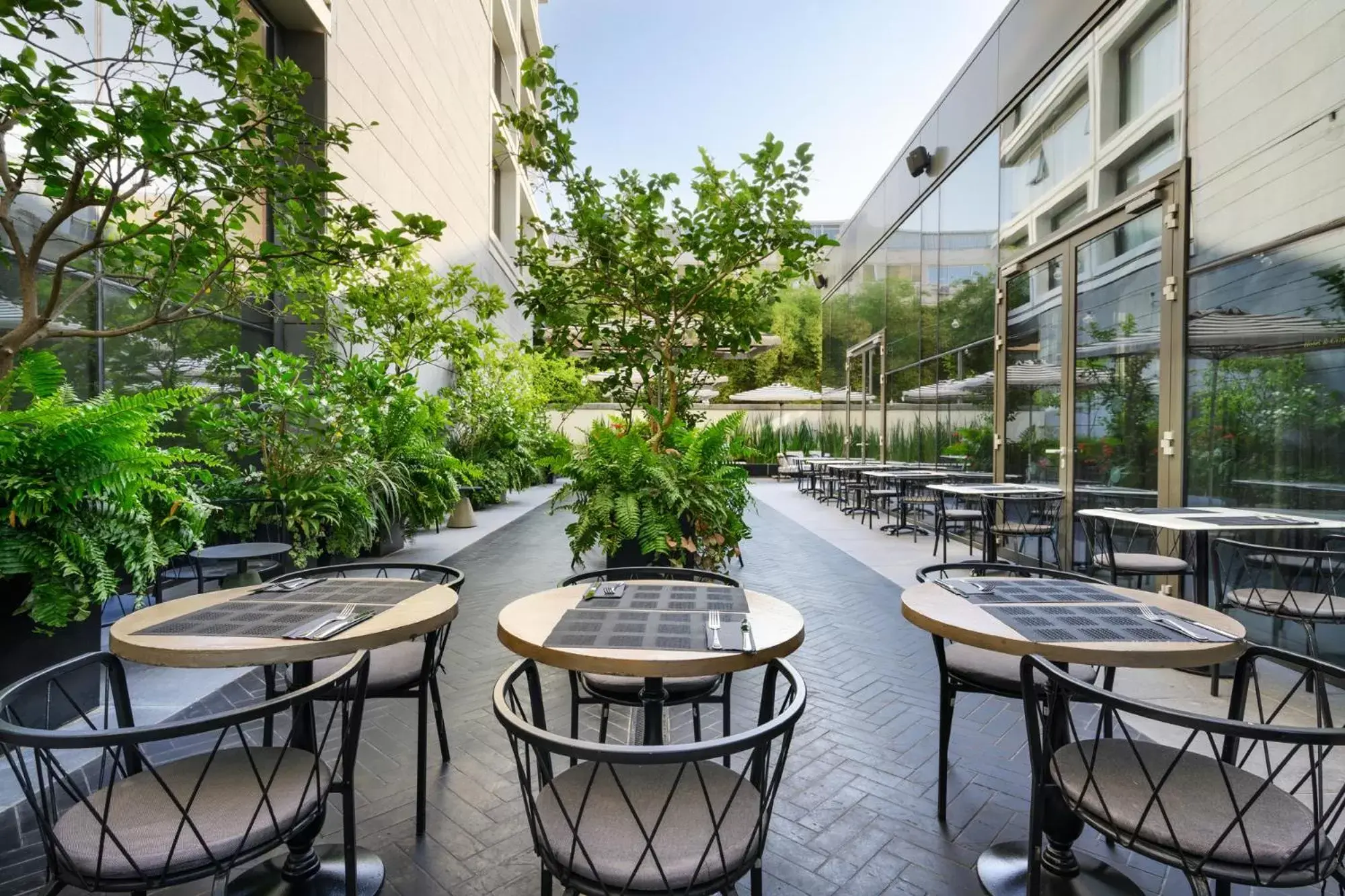 Garden, Restaurant/Places to Eat in Publica Isrotel, Autograph Collection