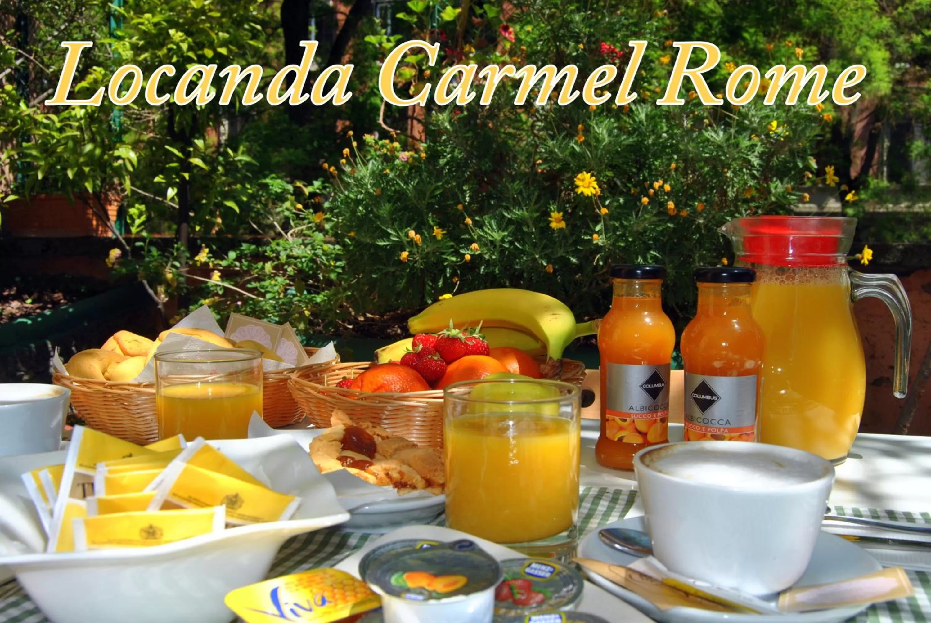 Balcony/Terrace in Hotel Carmel