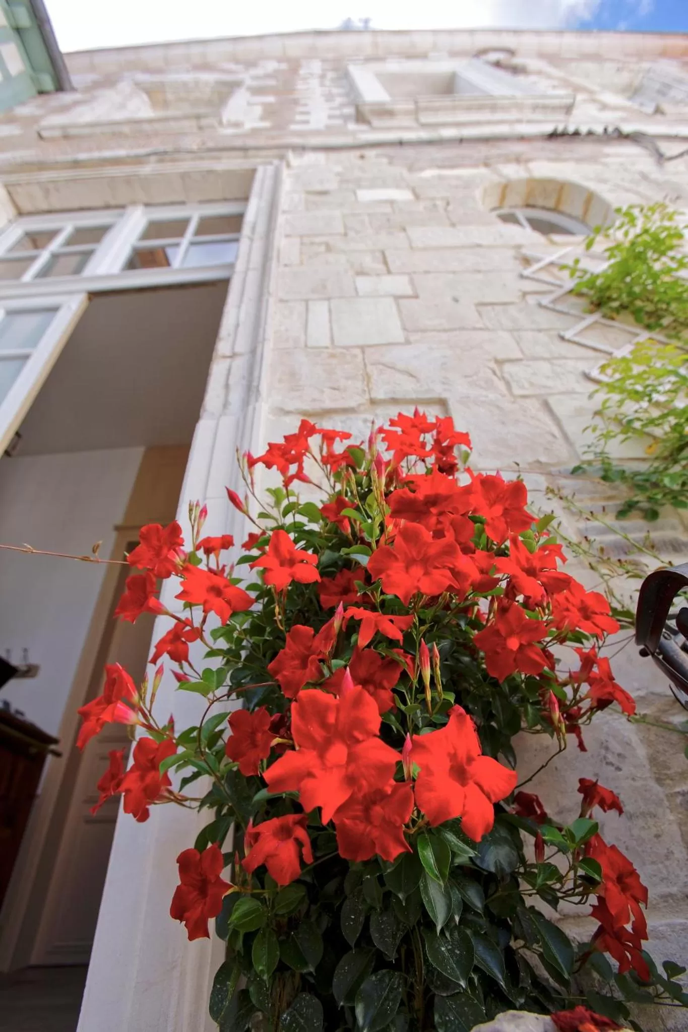 Decorative detail in Hotel Saint Georges