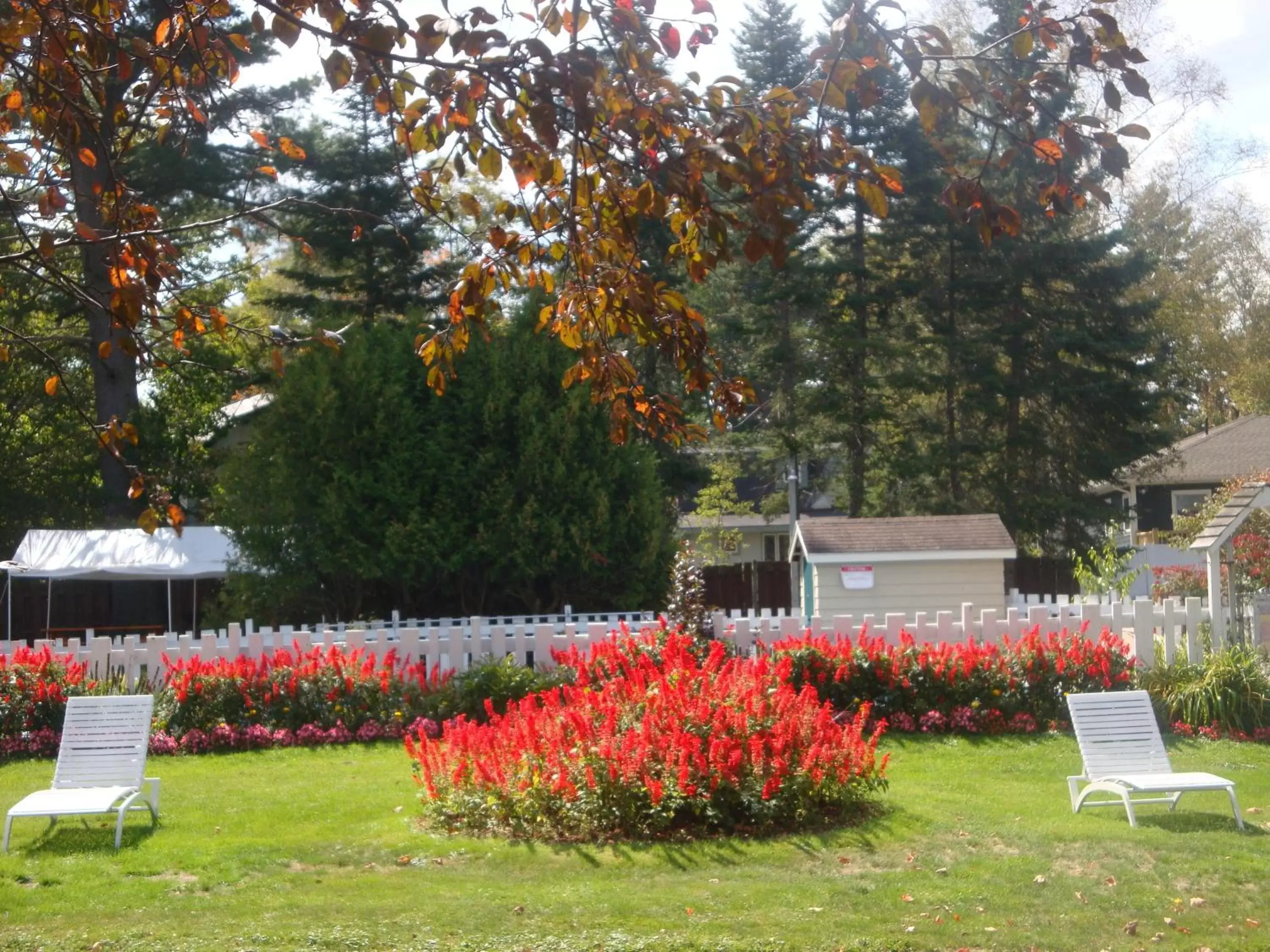 Facade/entrance, Garden in Maple Leaf Inn Lake Placid