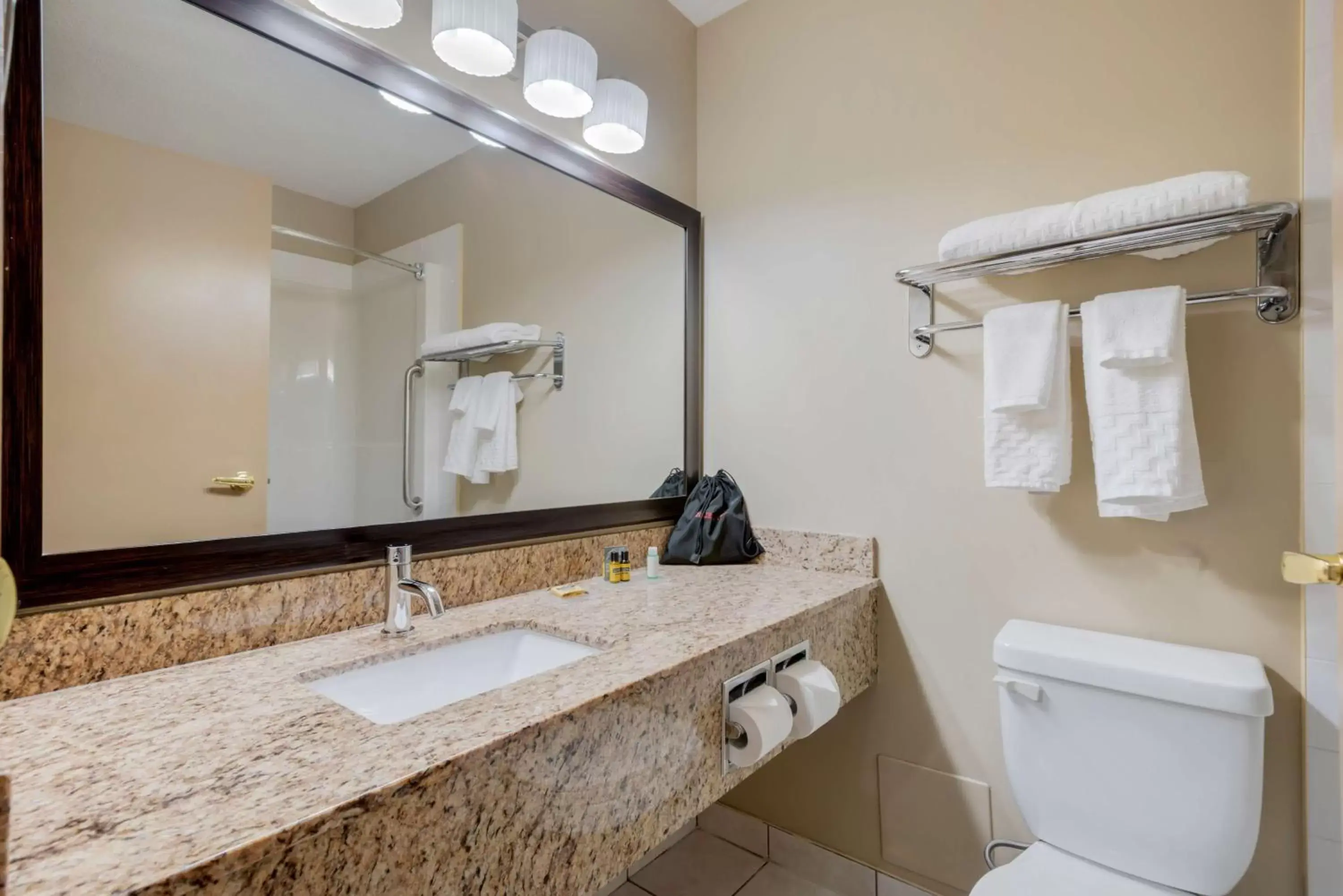 Bathroom in Best Western Plus Red Deer Inn & Suite
