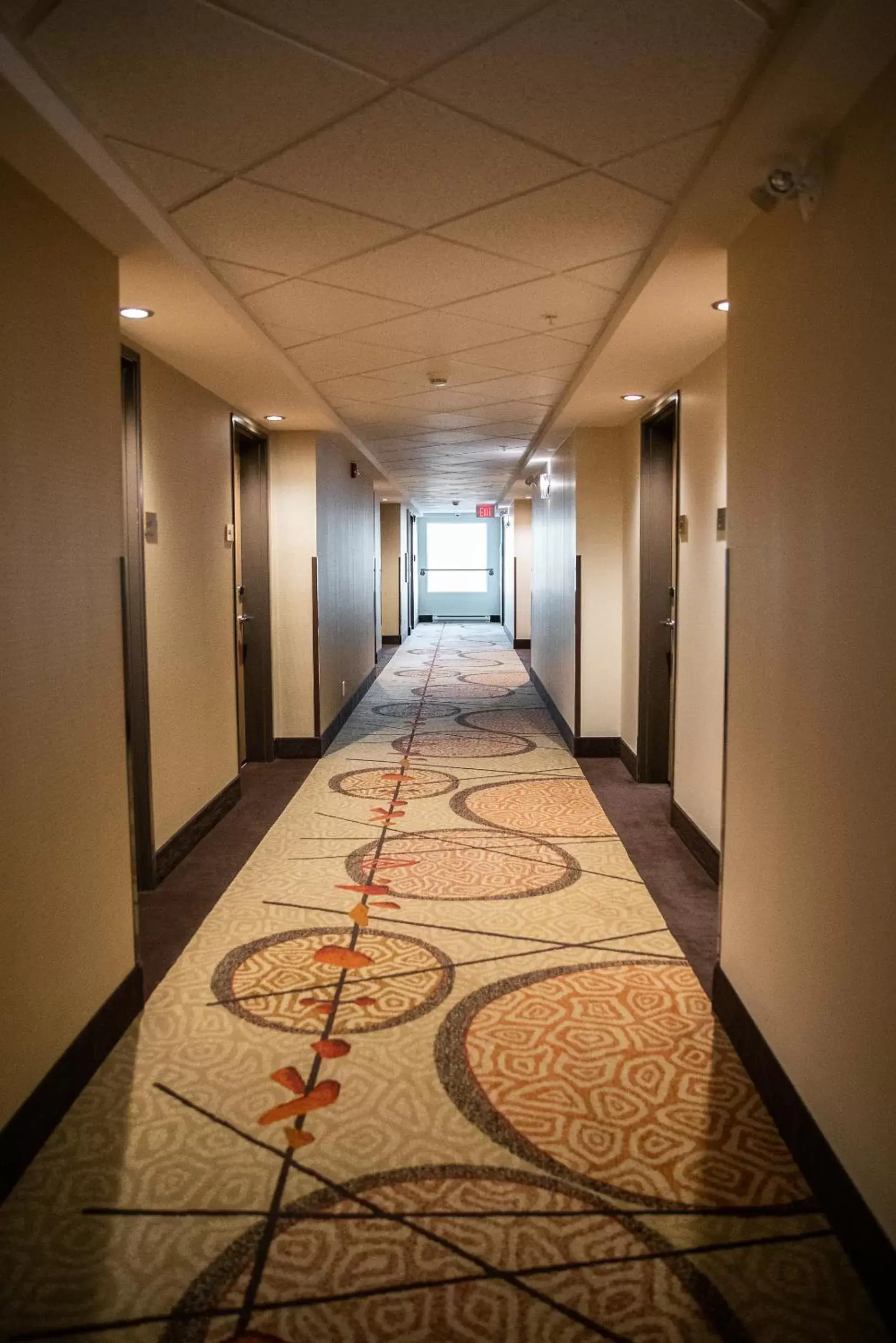 Property building in Hotel 11, MOD A Sonesta Collection Property building in Hotel 11, MOD A Sonesta Collection