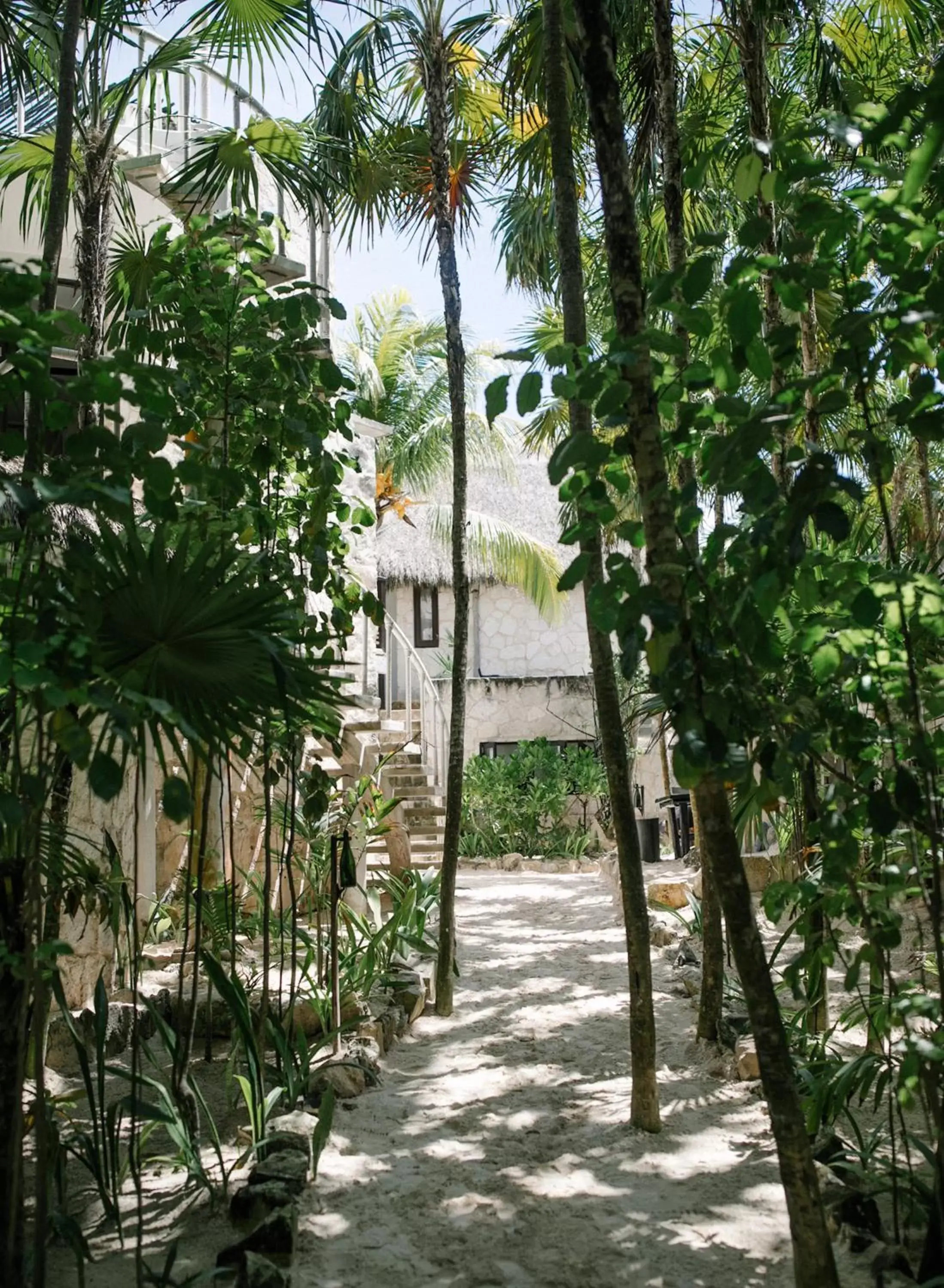 Off site in NEST Tulum