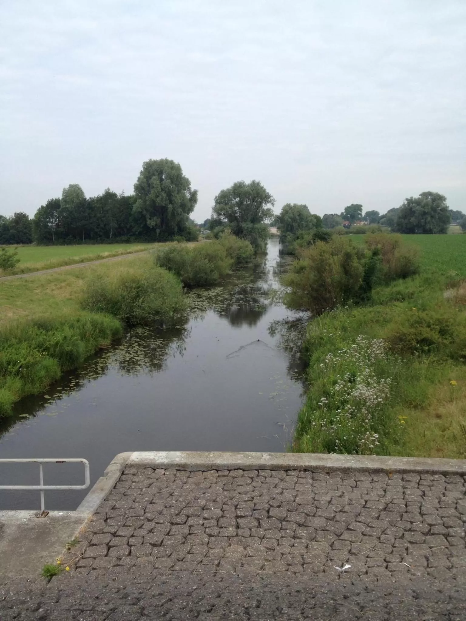 Natural landscape in Bed and Breakfast Azzurro