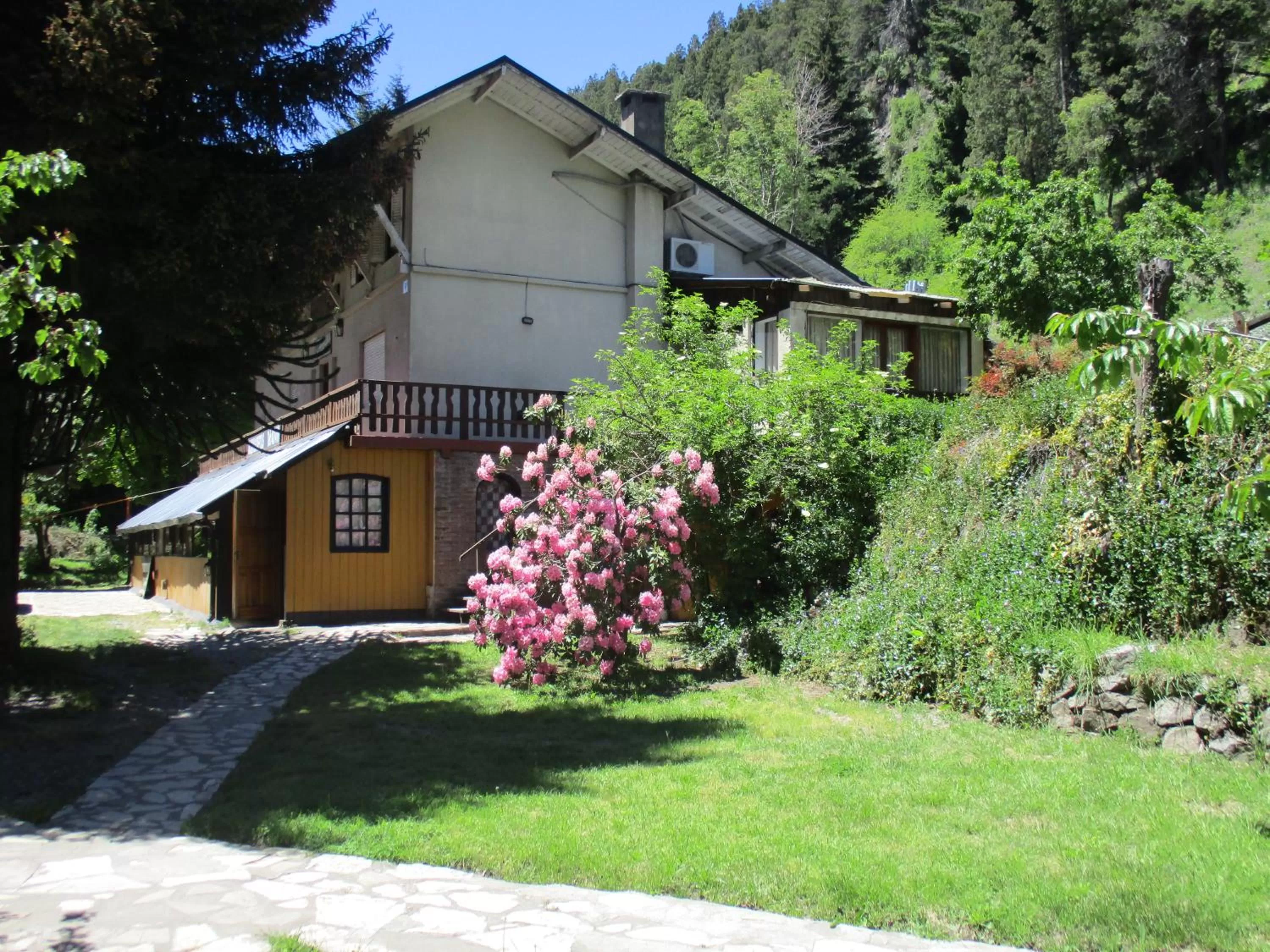 Garden, Property Building in Sacromonte