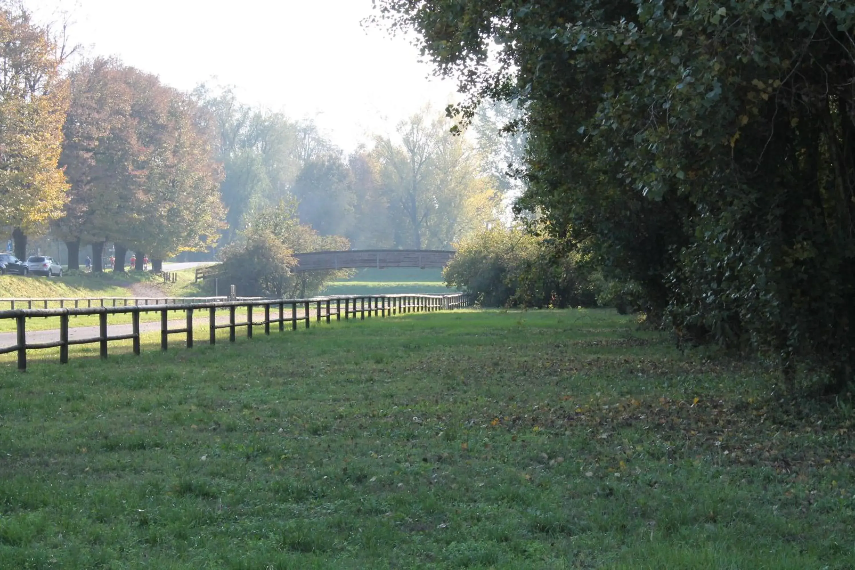 Cycling, Garden in Hotel Cremona Viale