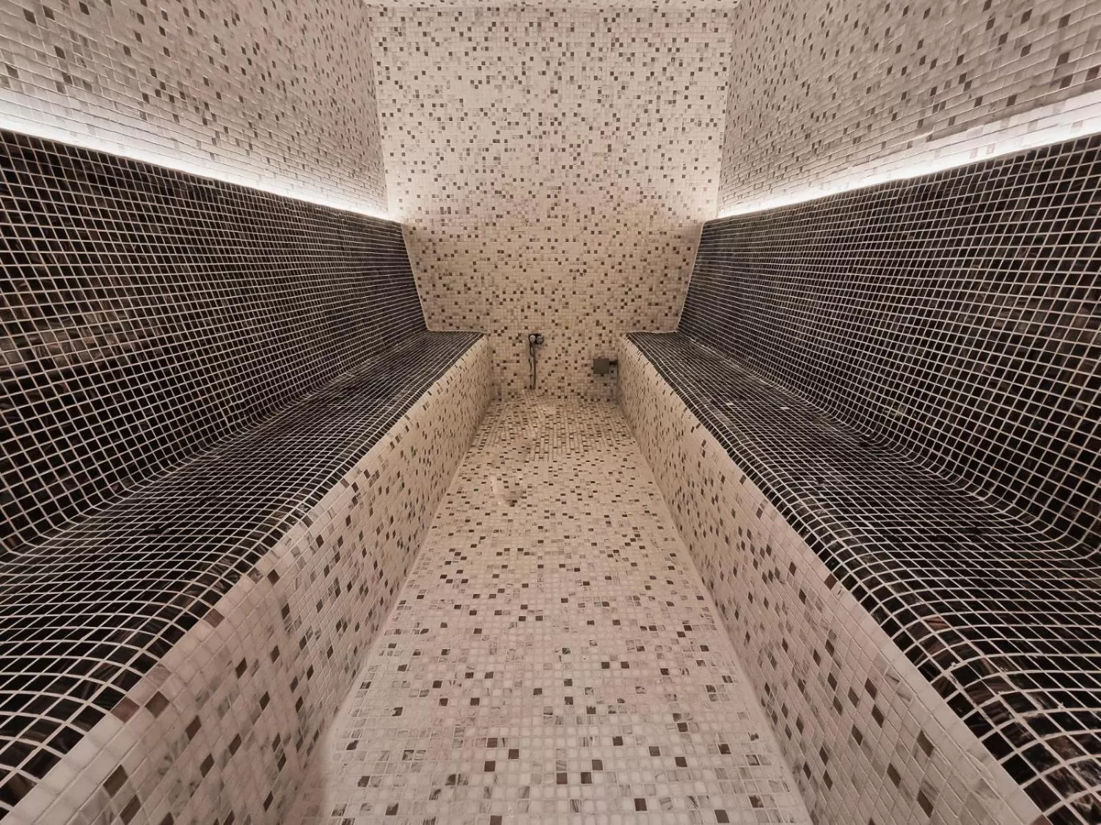 Steam room in Ursuletul Predeal