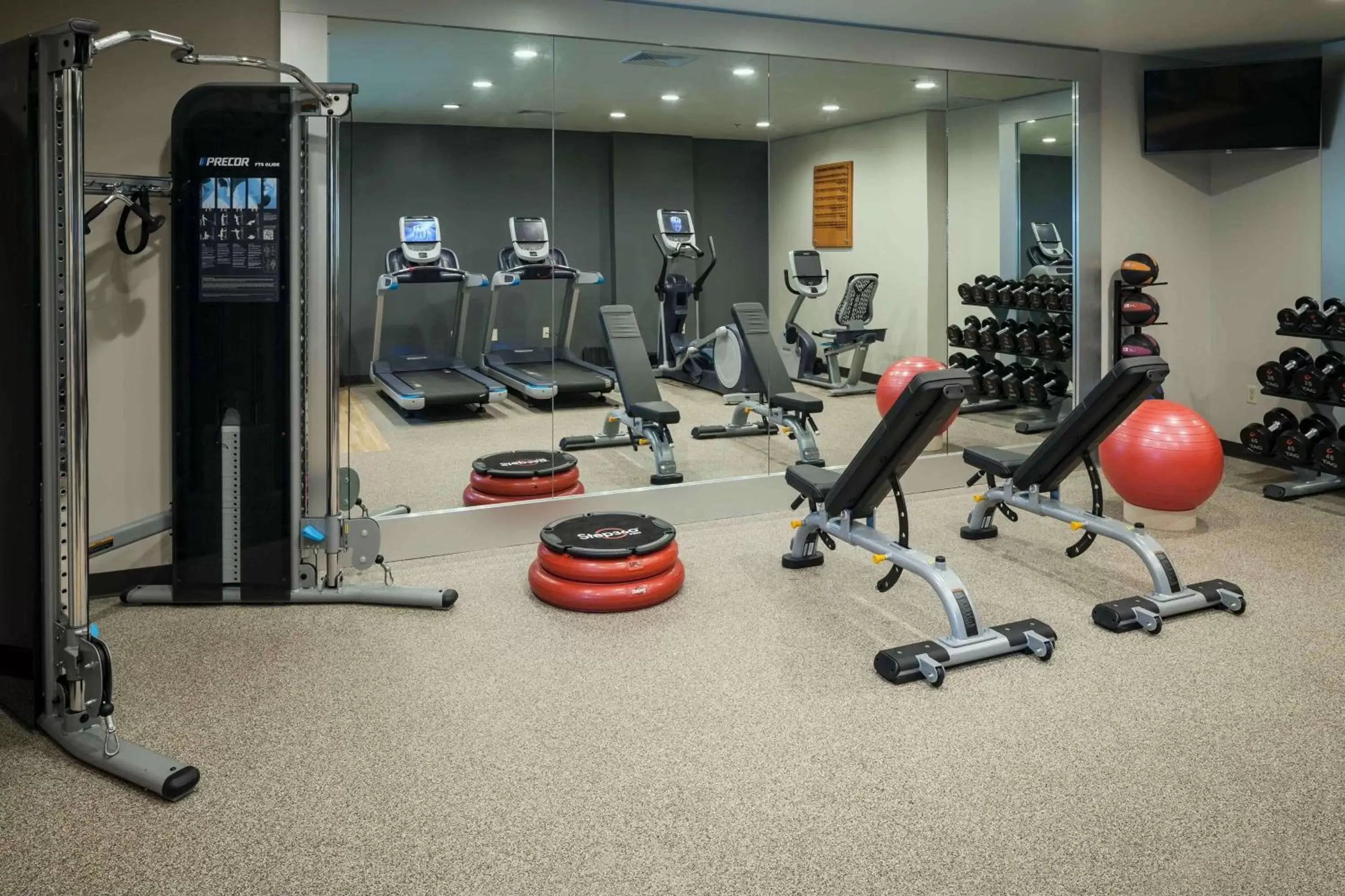Fitness centre/facilities, Fitness Center/Facilities in Hilton Suites Brentwood