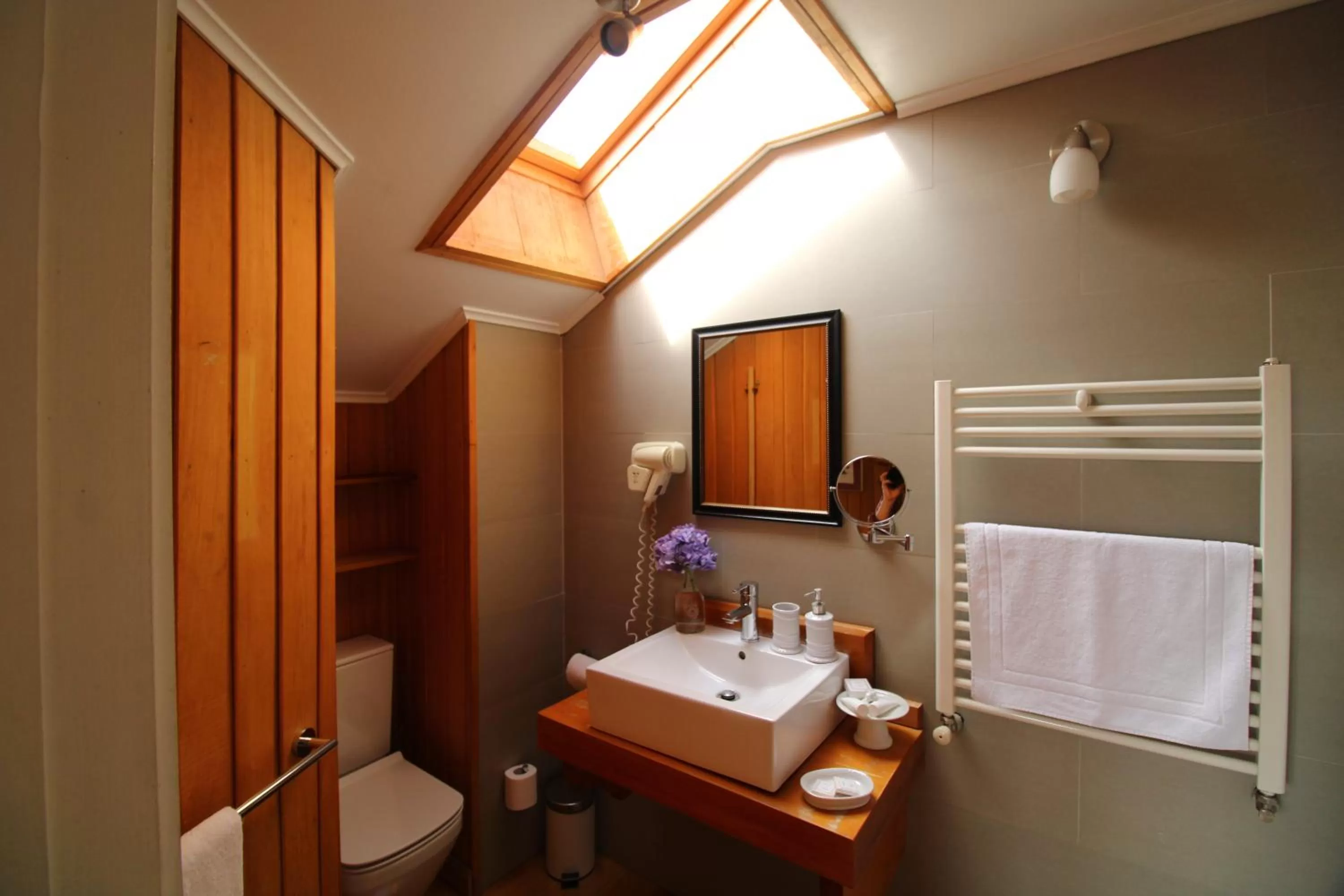 Toilet, Bathroom in Hotel Boutique Casa Werner