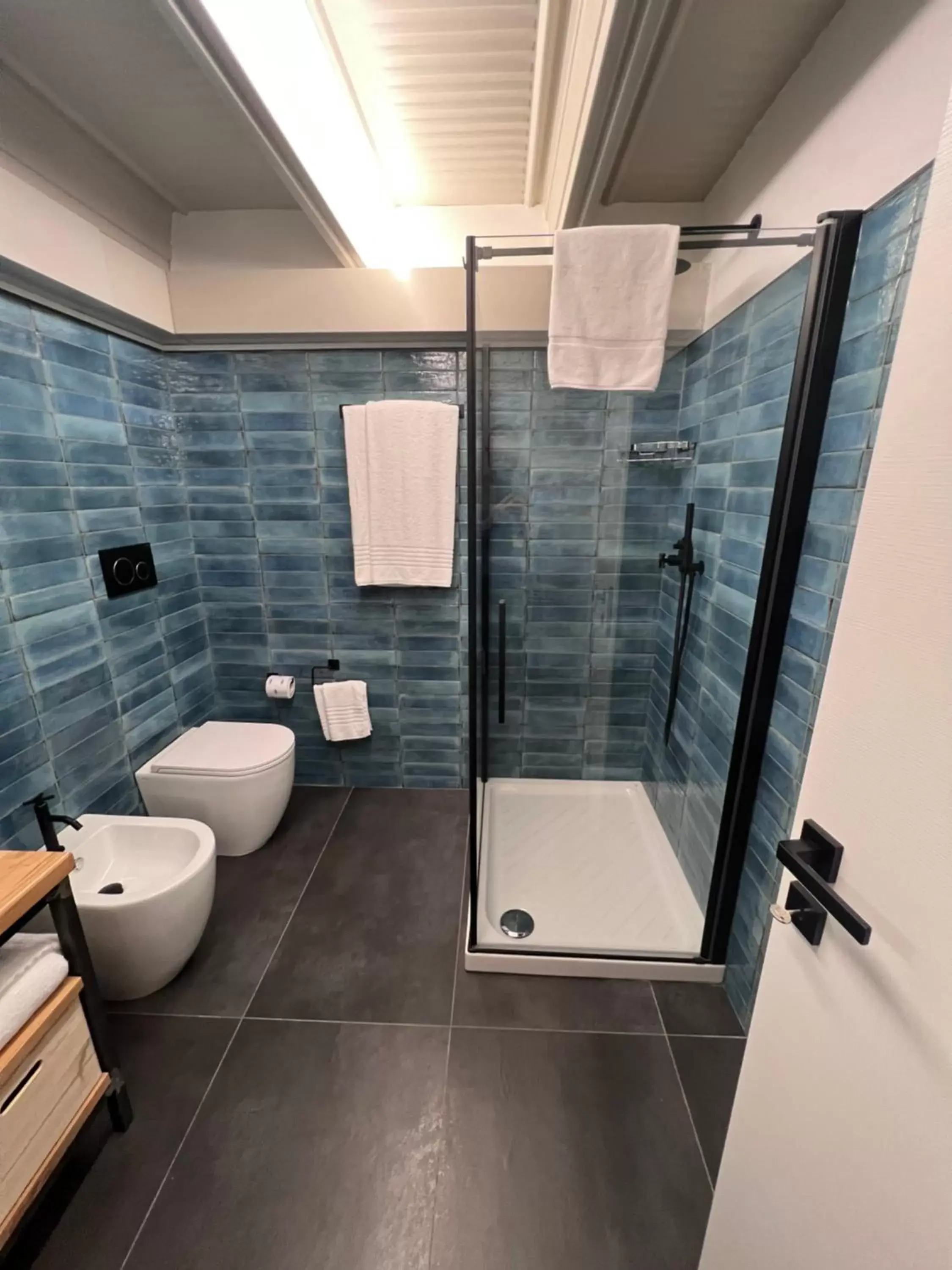 Shower, Bathroom in Residence Star