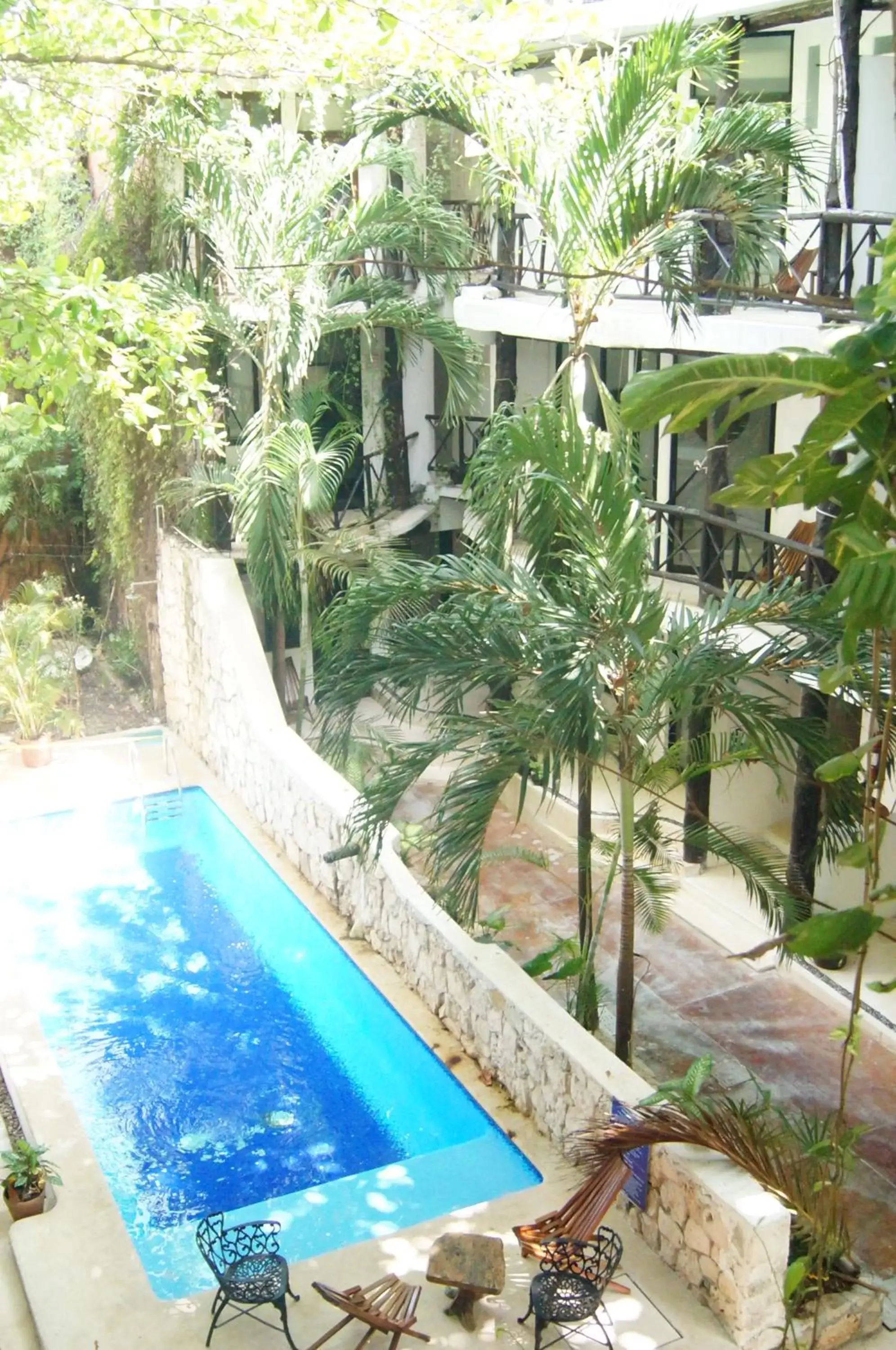 Pool view, Swimming Pool in Siesta Fiesta Hotel - 5th Avenue