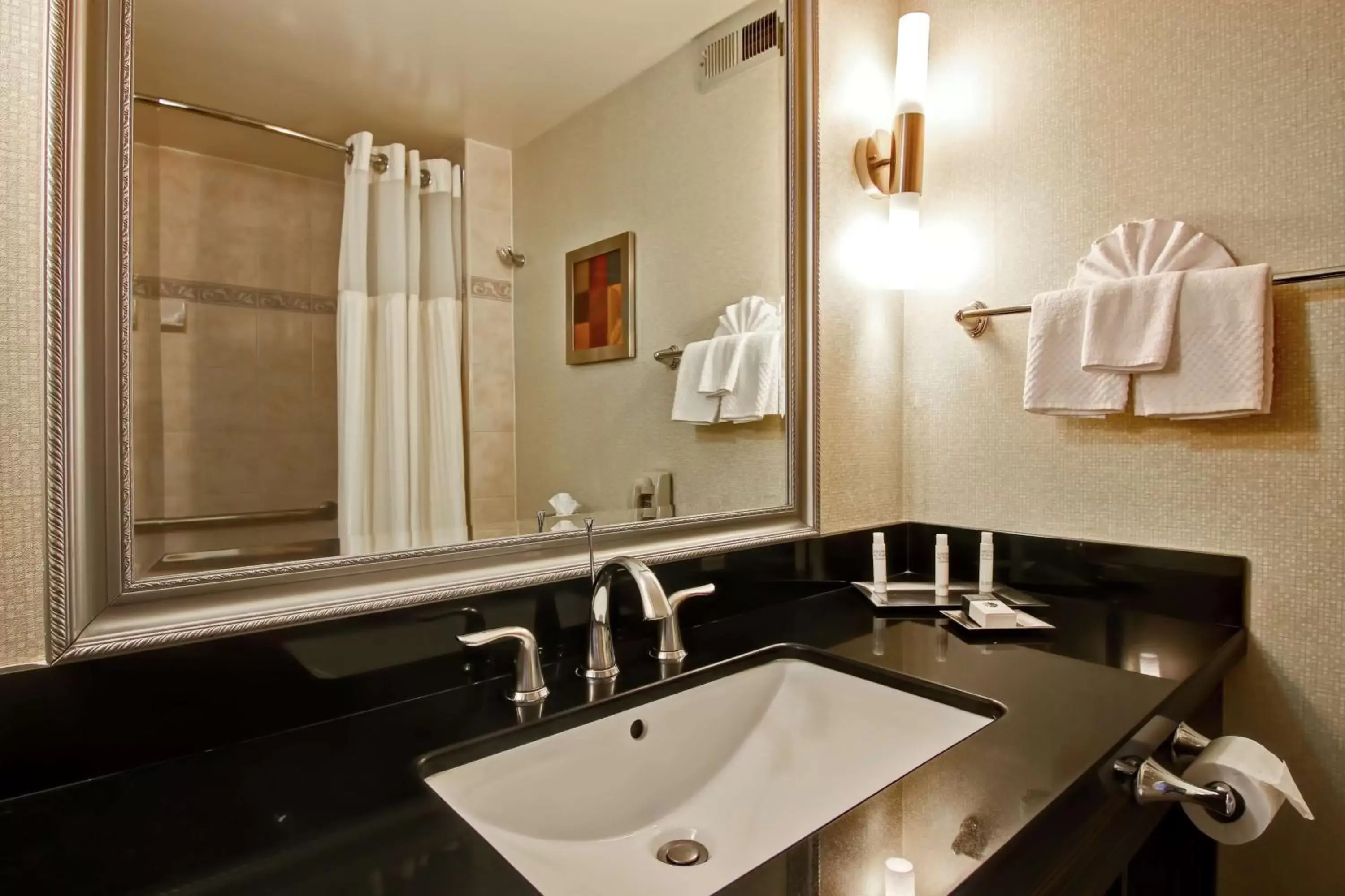 Bathroom in DoubleTree by Hilton Pleasanton at The Club