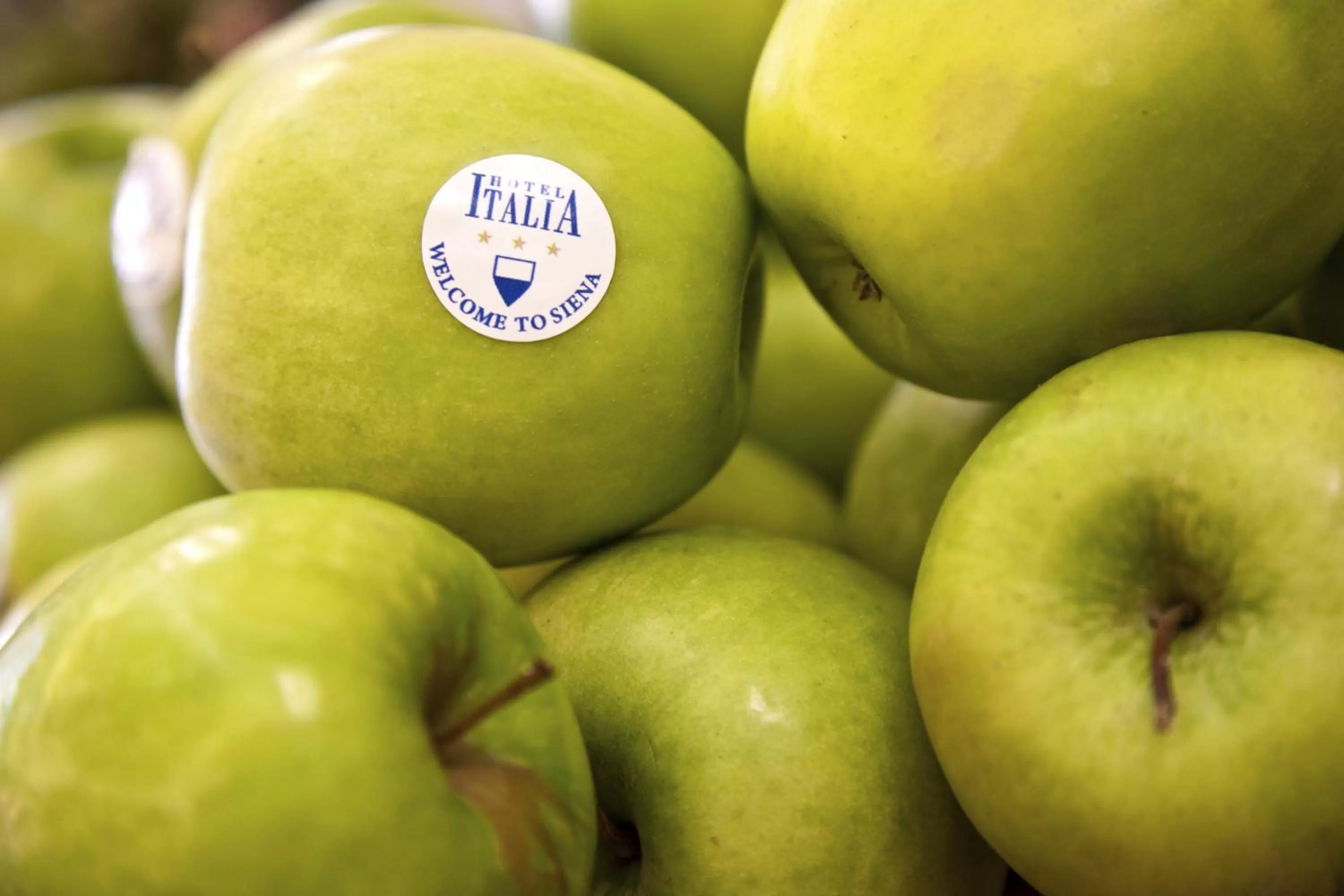 Decorative detail in Hotel Italia