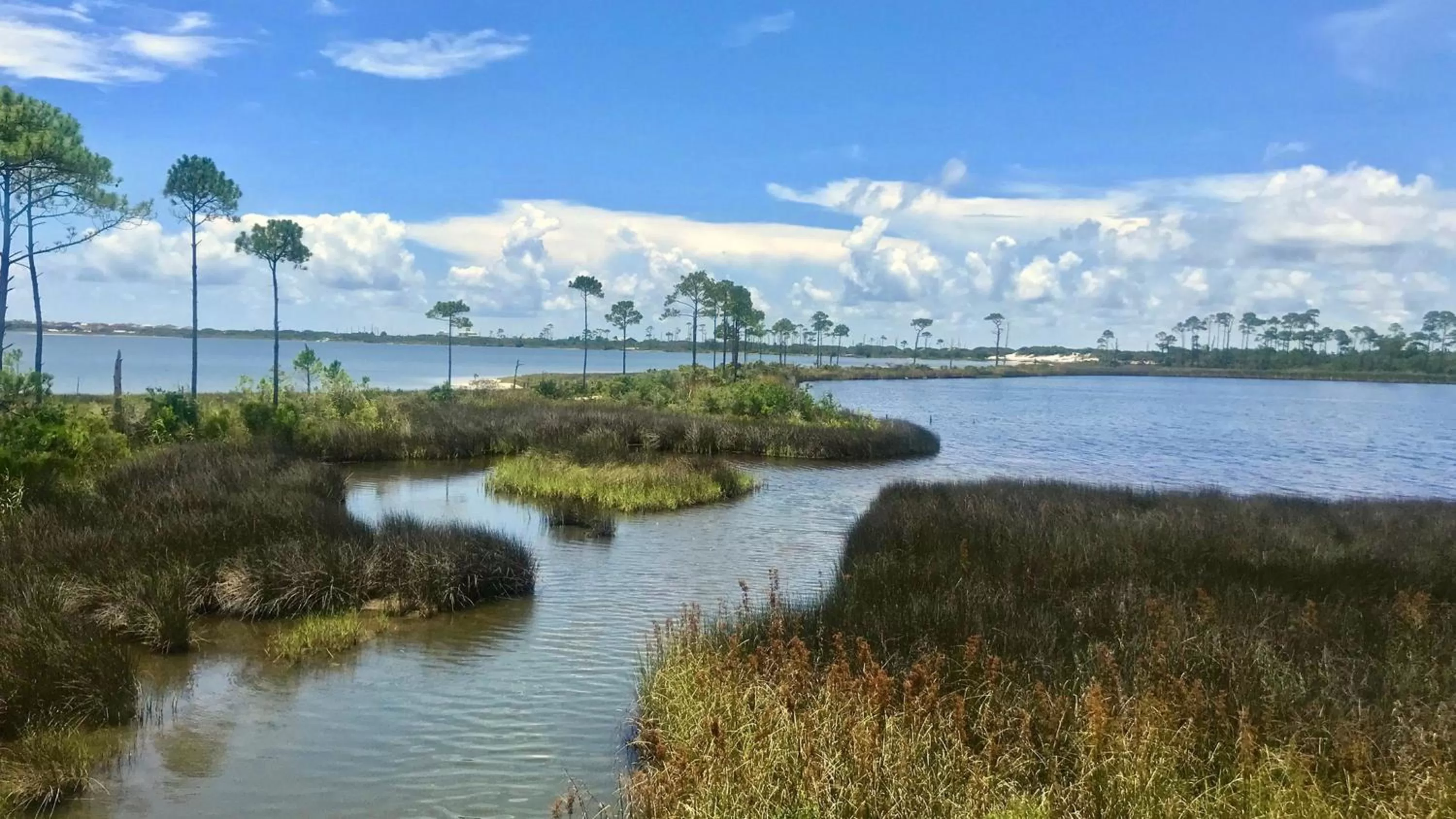 Nearby landmark in Hotel Indigo Orange Beach - Gulf Shores by IHG