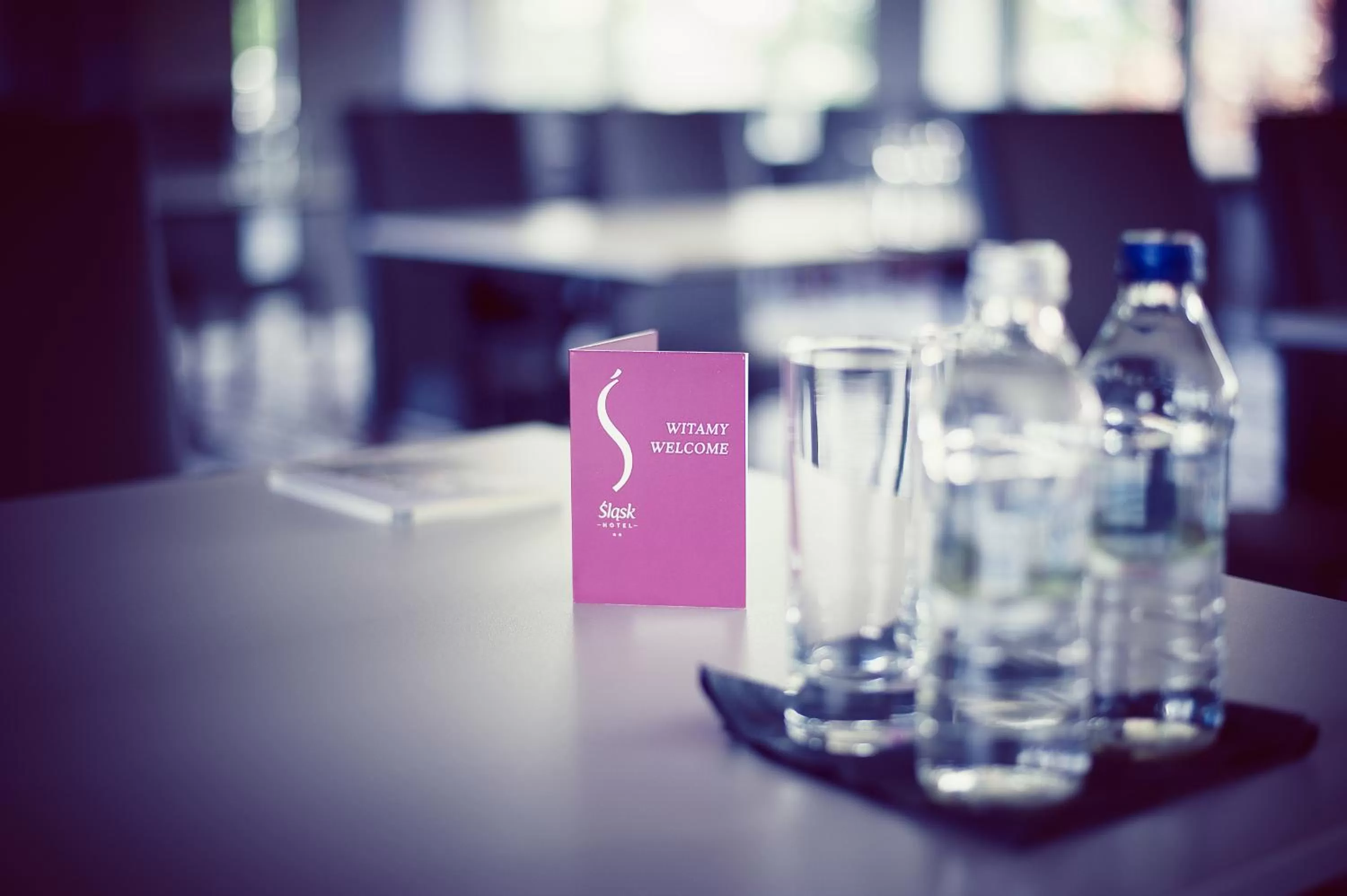 Business facilities in Hotel Śląsk