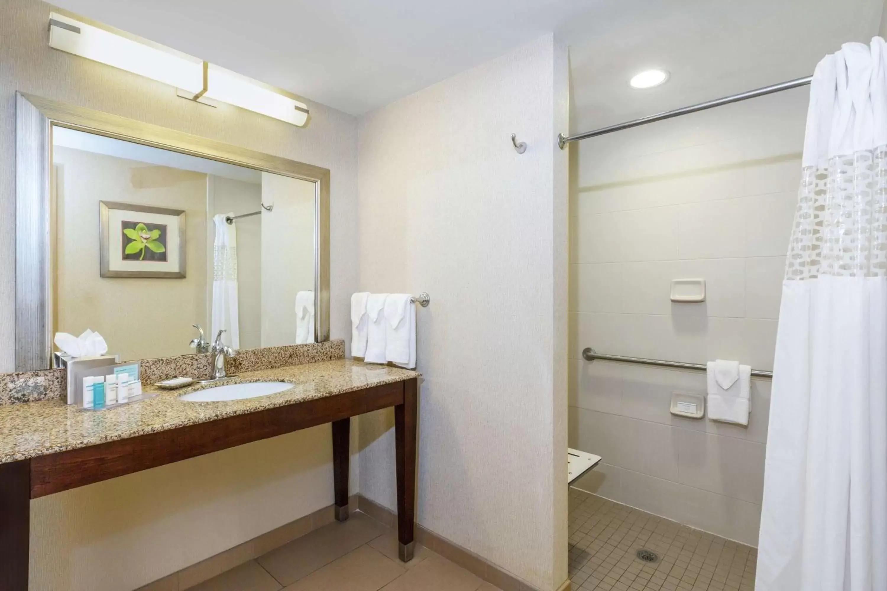 Bathroom in Hampton Inn Texarkana