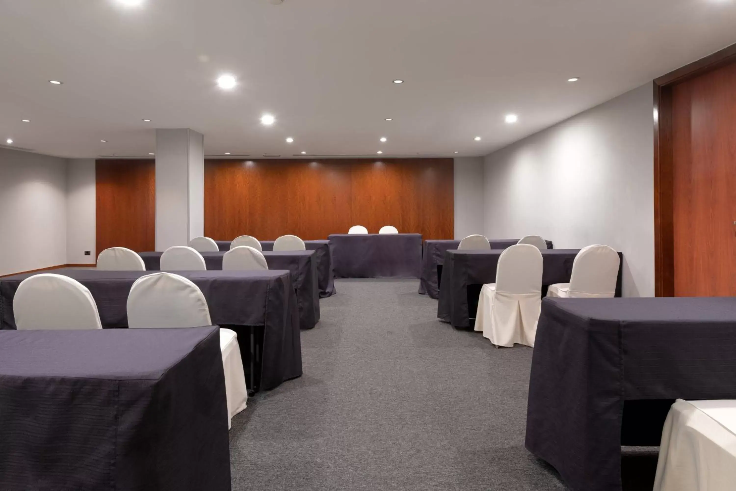 Meeting/conference room in AC Hotel Málaga Palacio by Marriott