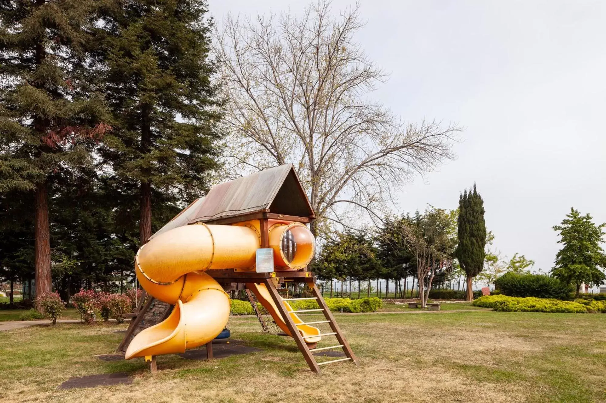 Day, Water Park in Novotel Trabzon