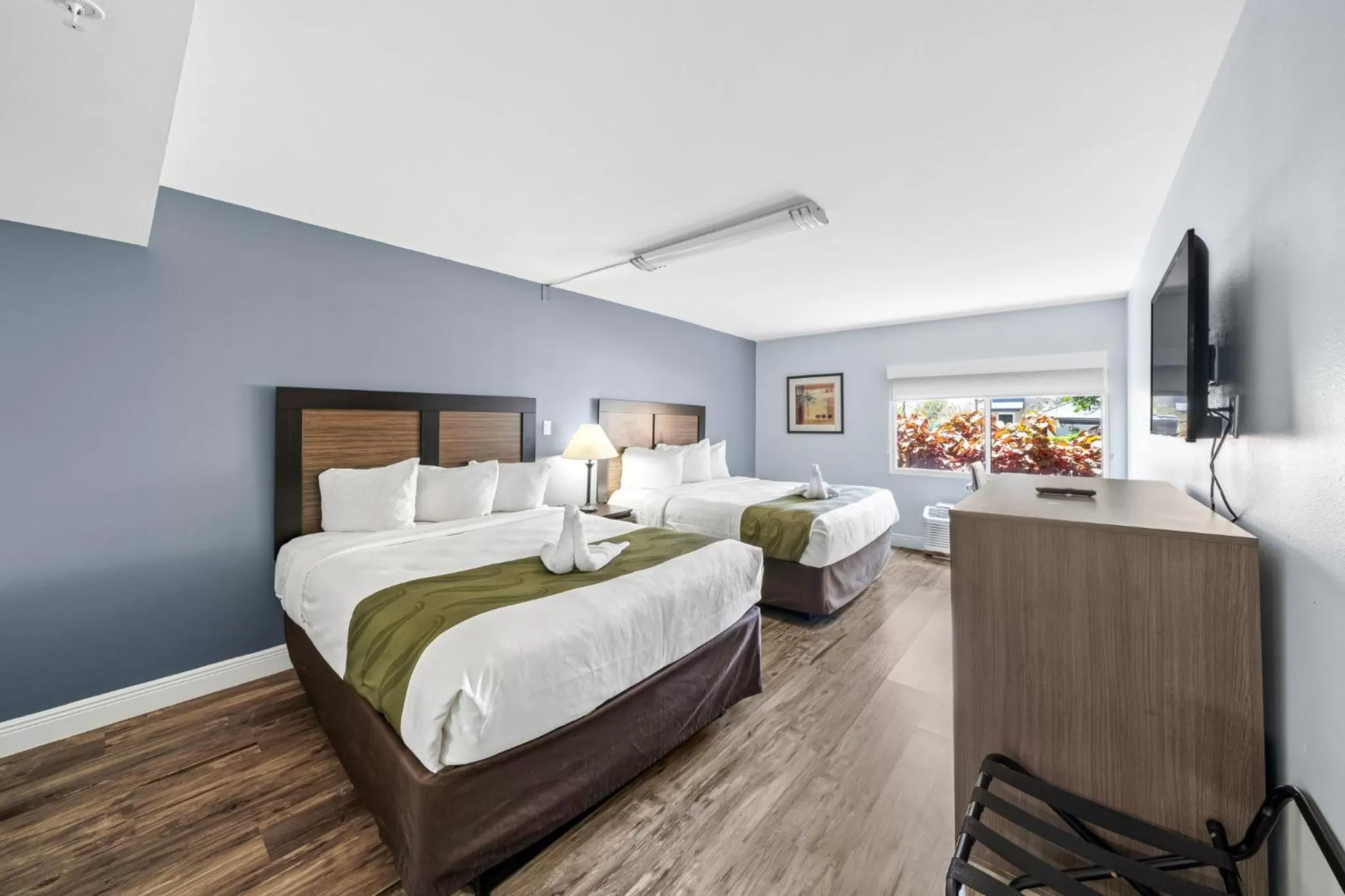 Bed in Quality Inn & Suites Tampa near Fairgrounds and Casino