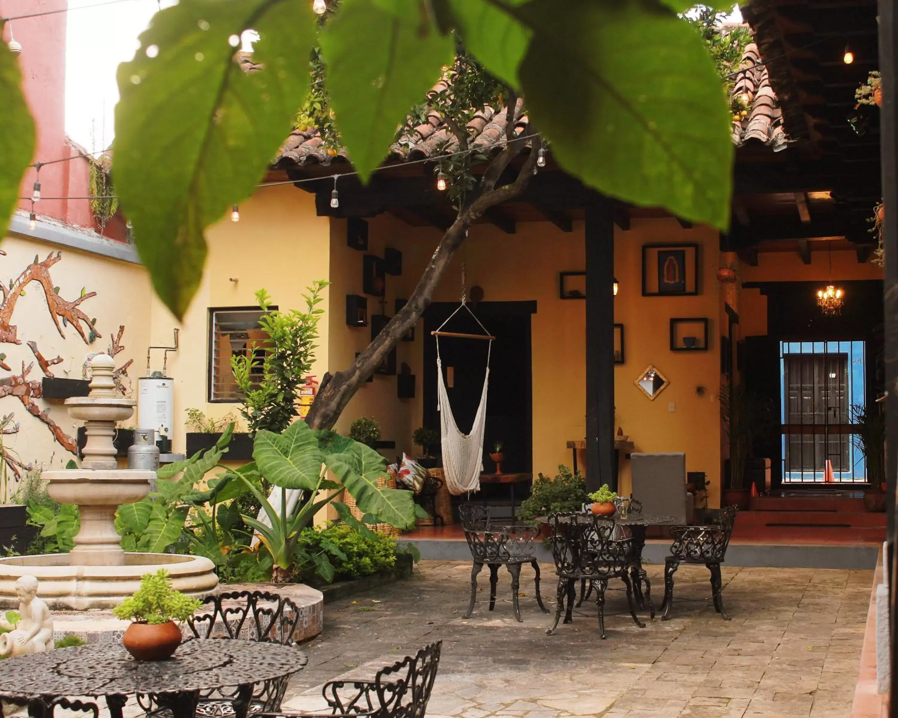 Garden in El Naranjo Hotel Finca Urbana