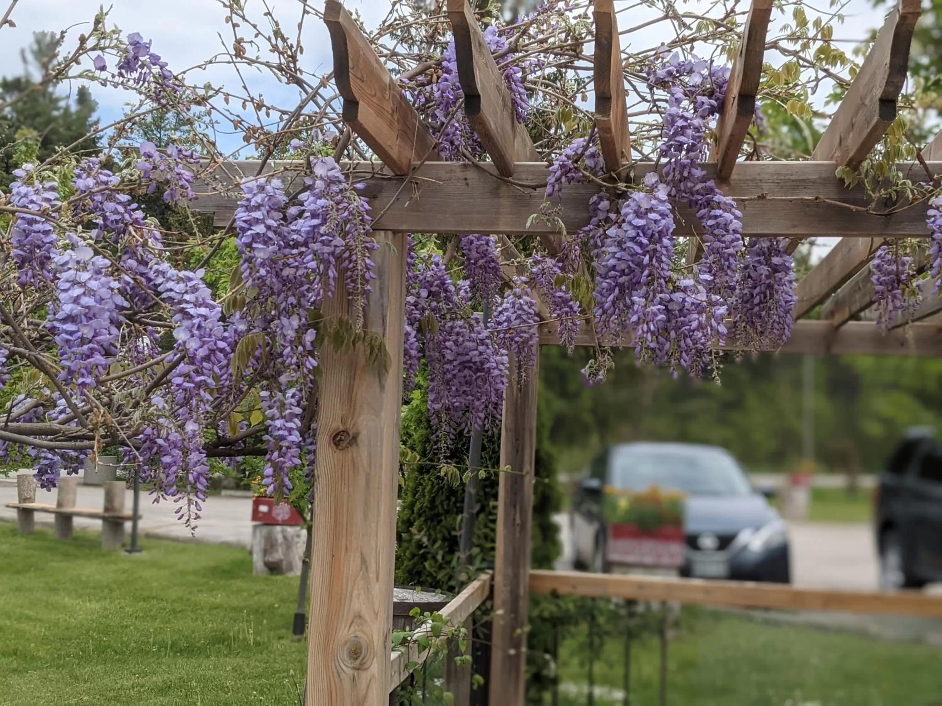 Patio in THE ASHWOOD INN