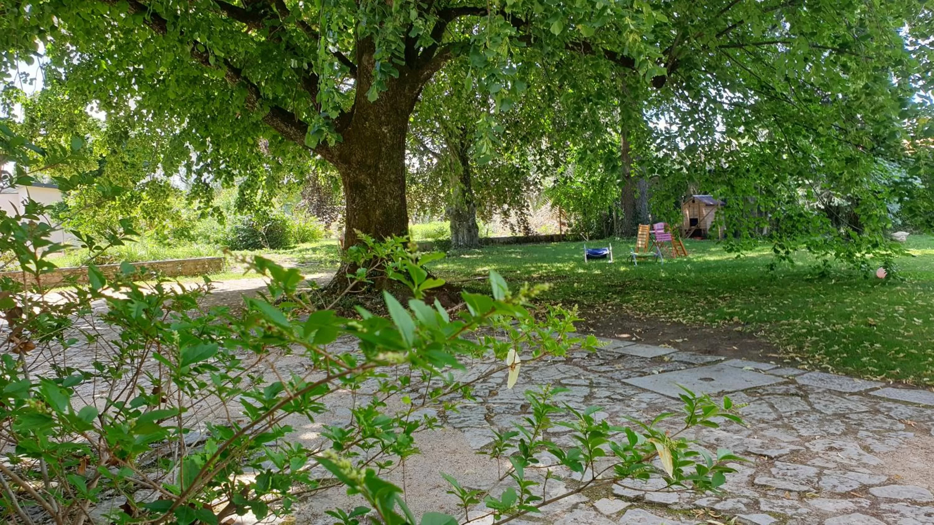 De passage chez Lili