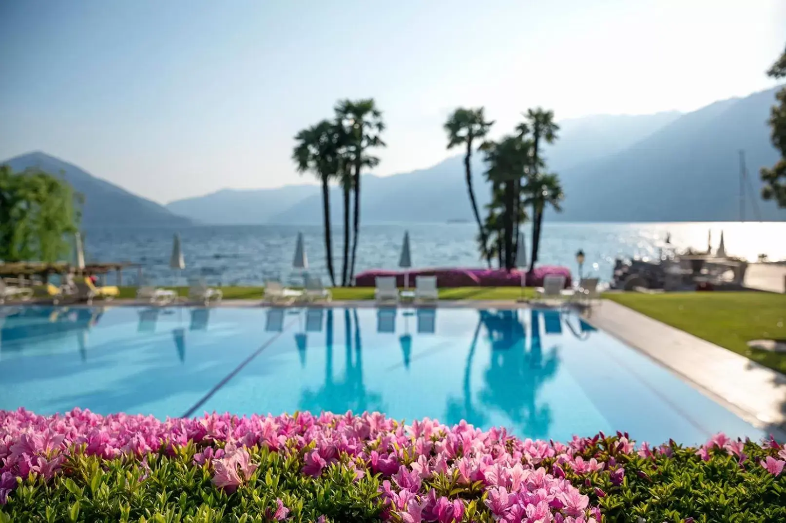 Natural landscape, Swimming Pool in Hotel Eden Roc - The Leading Hotels of the World