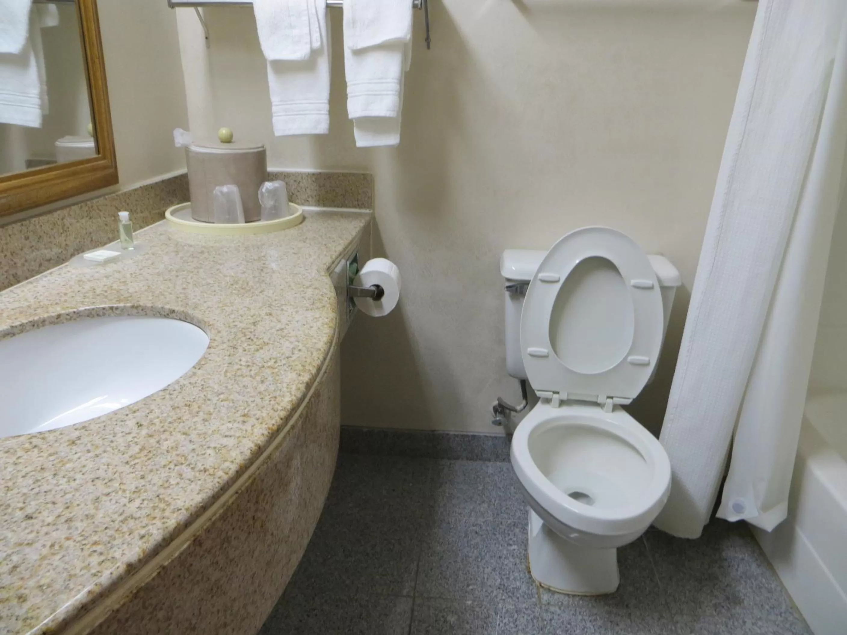 Toilet in Motel 6 Walton, KY - Richwood - Cincinnati Airport South