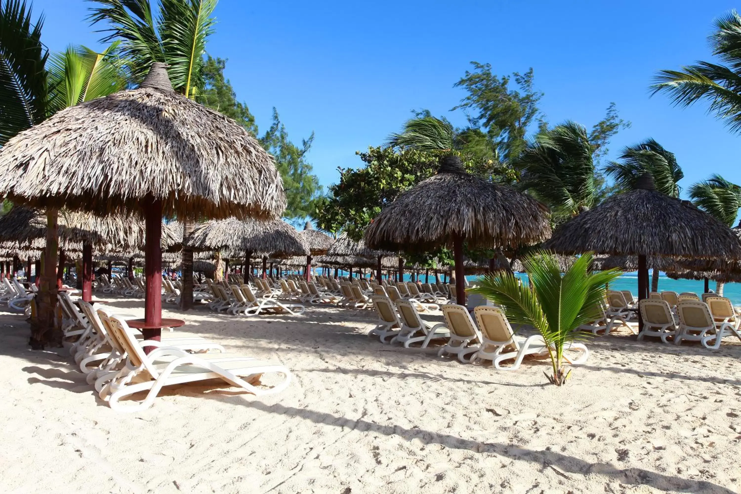 Beach in Bahia Principe Luxury Esmeralda - All Inclusive