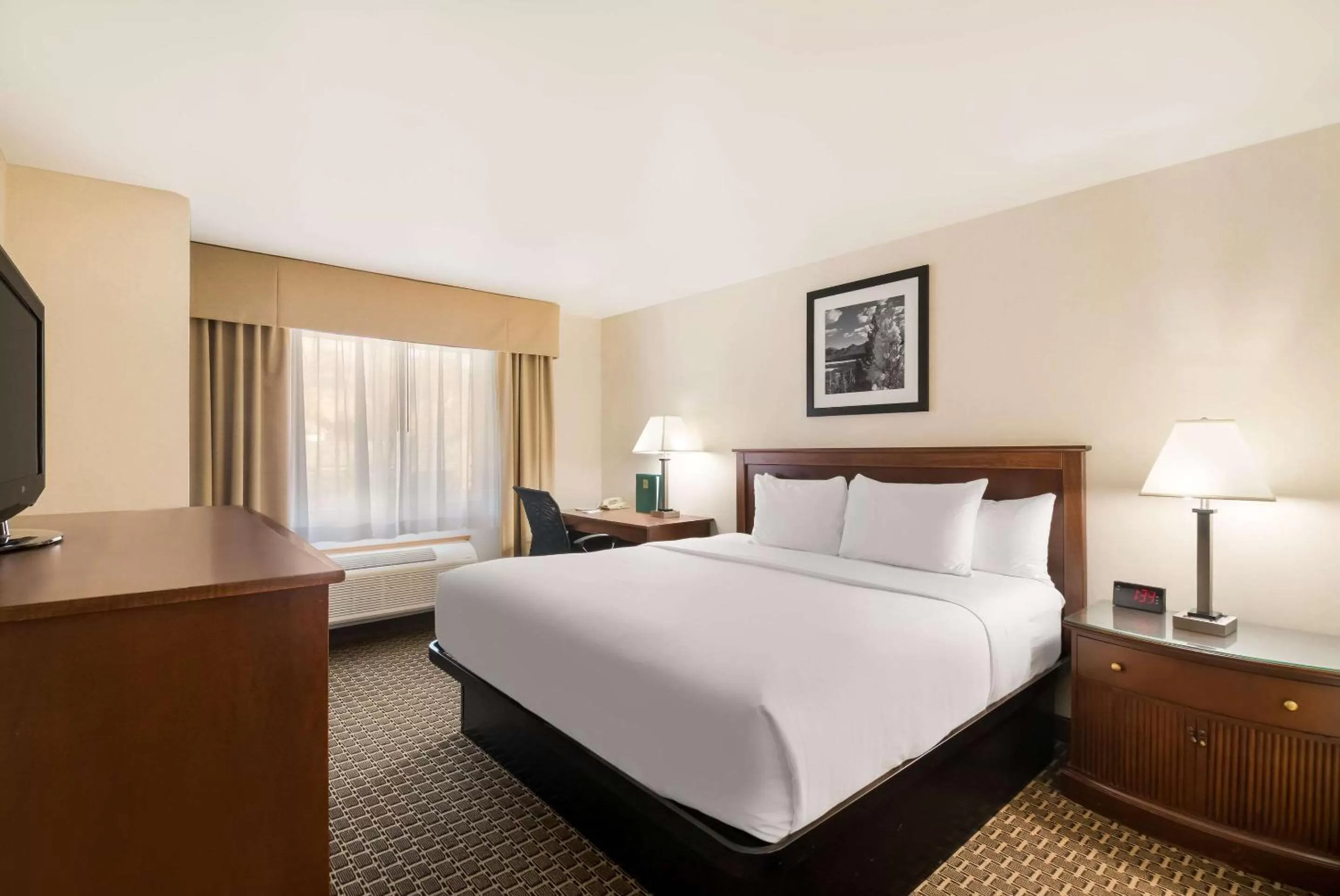 King Room - Accessible/Non Smoking in Quality Inn & Suites Steamboat Springs