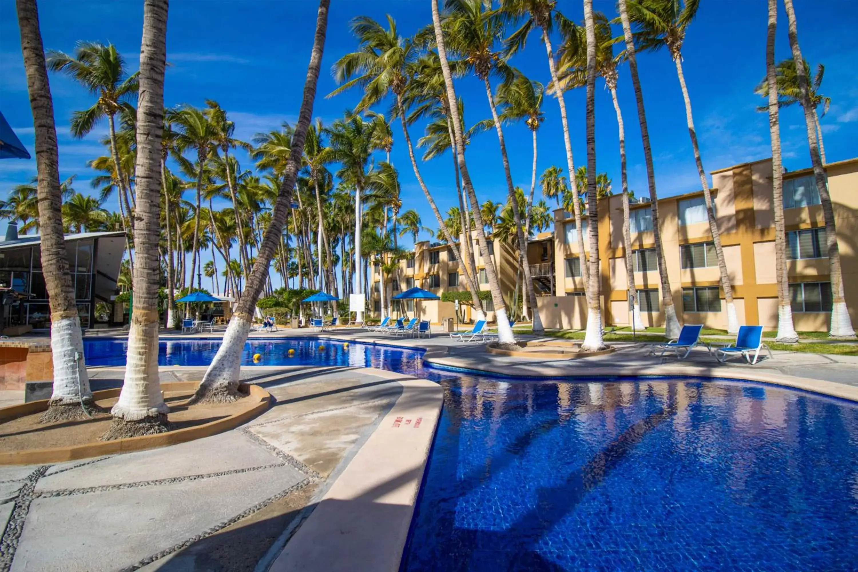 Swimming Pool in Araiza Palmira Hotel y Centro de Convenciones