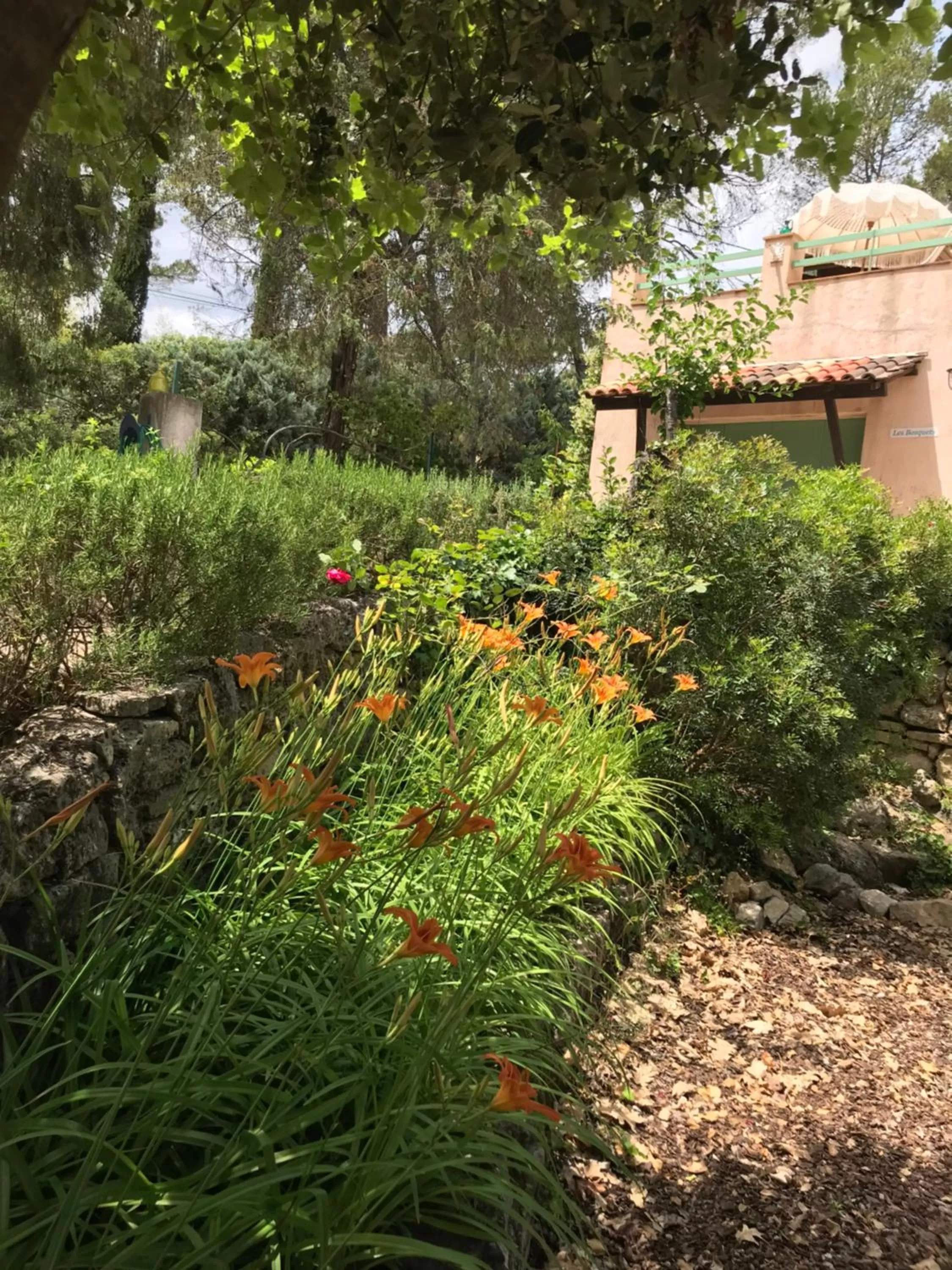 Garden in Les Bosquets