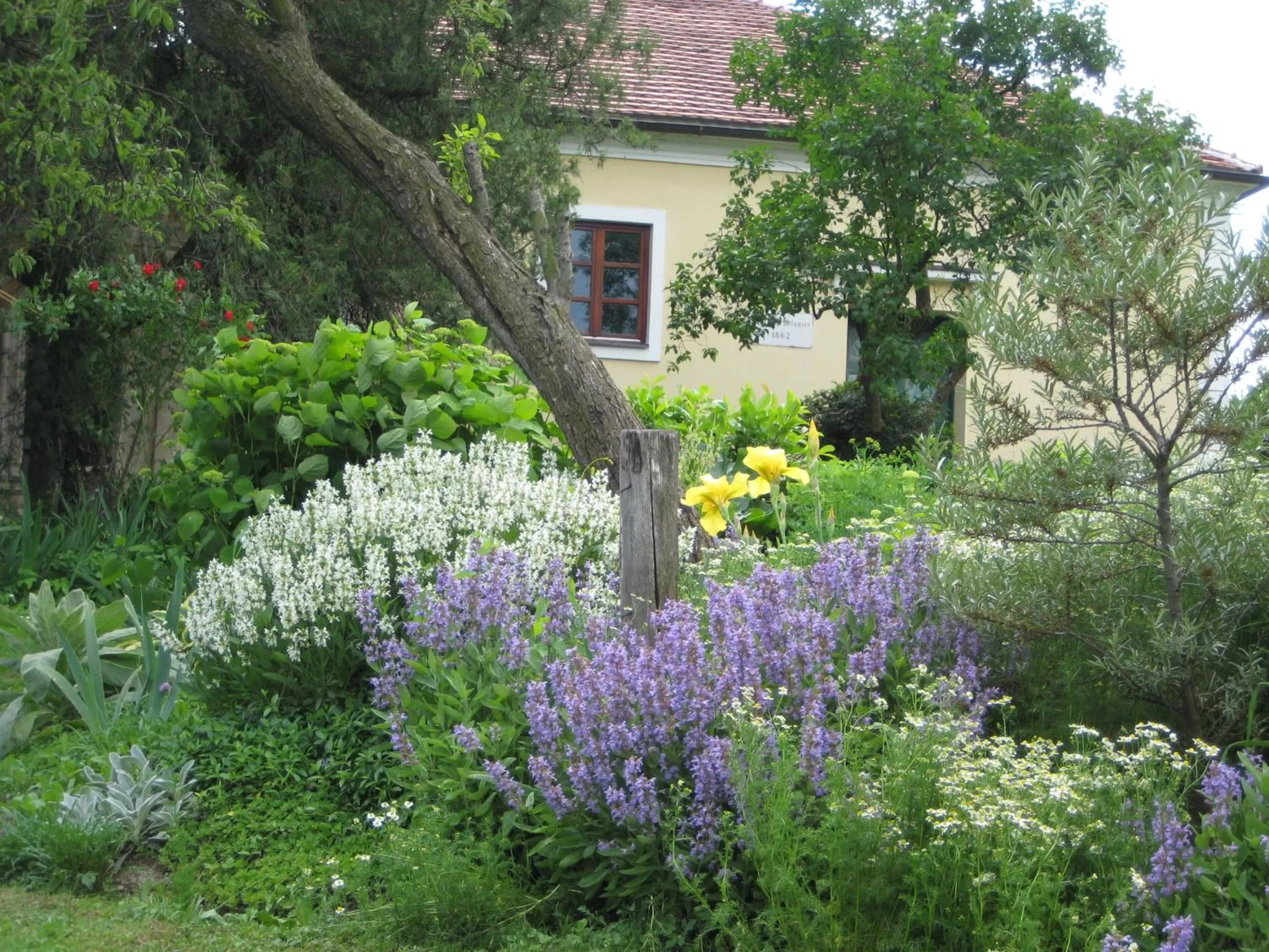 Garden in Mala Kmetija