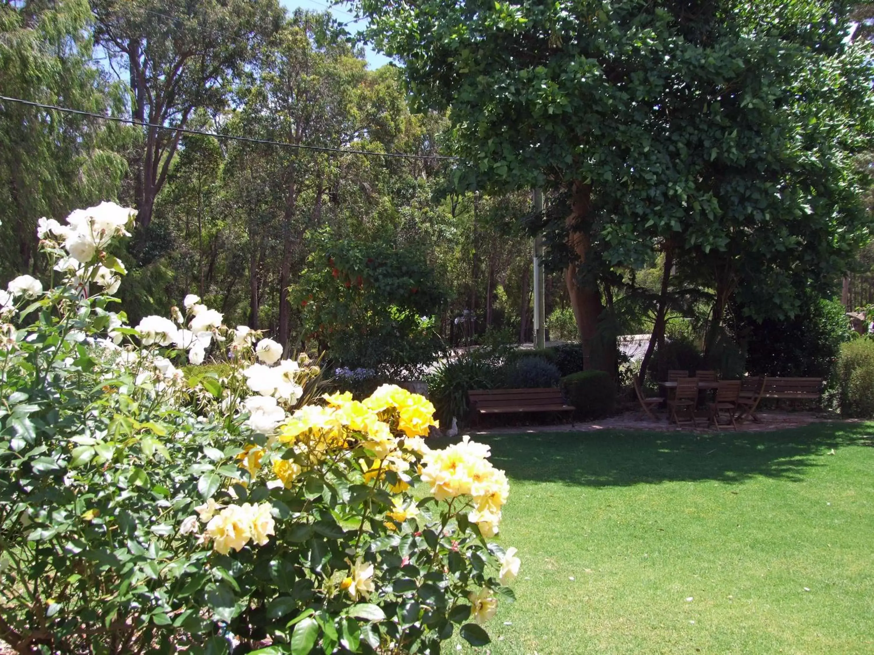 Garden in Adamsons Riverside Accommodation