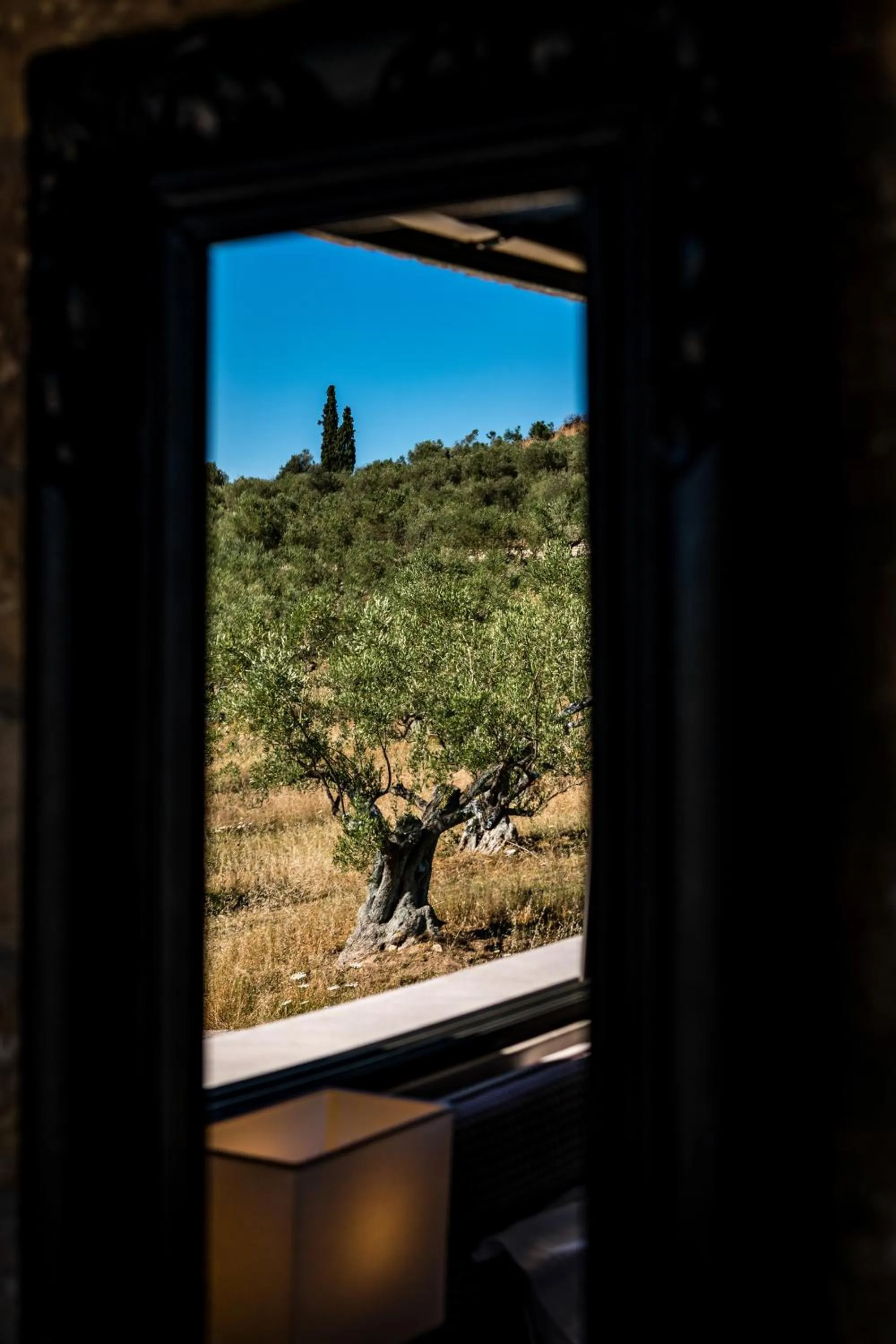 Natural landscape in Anthemion Suites and Villas