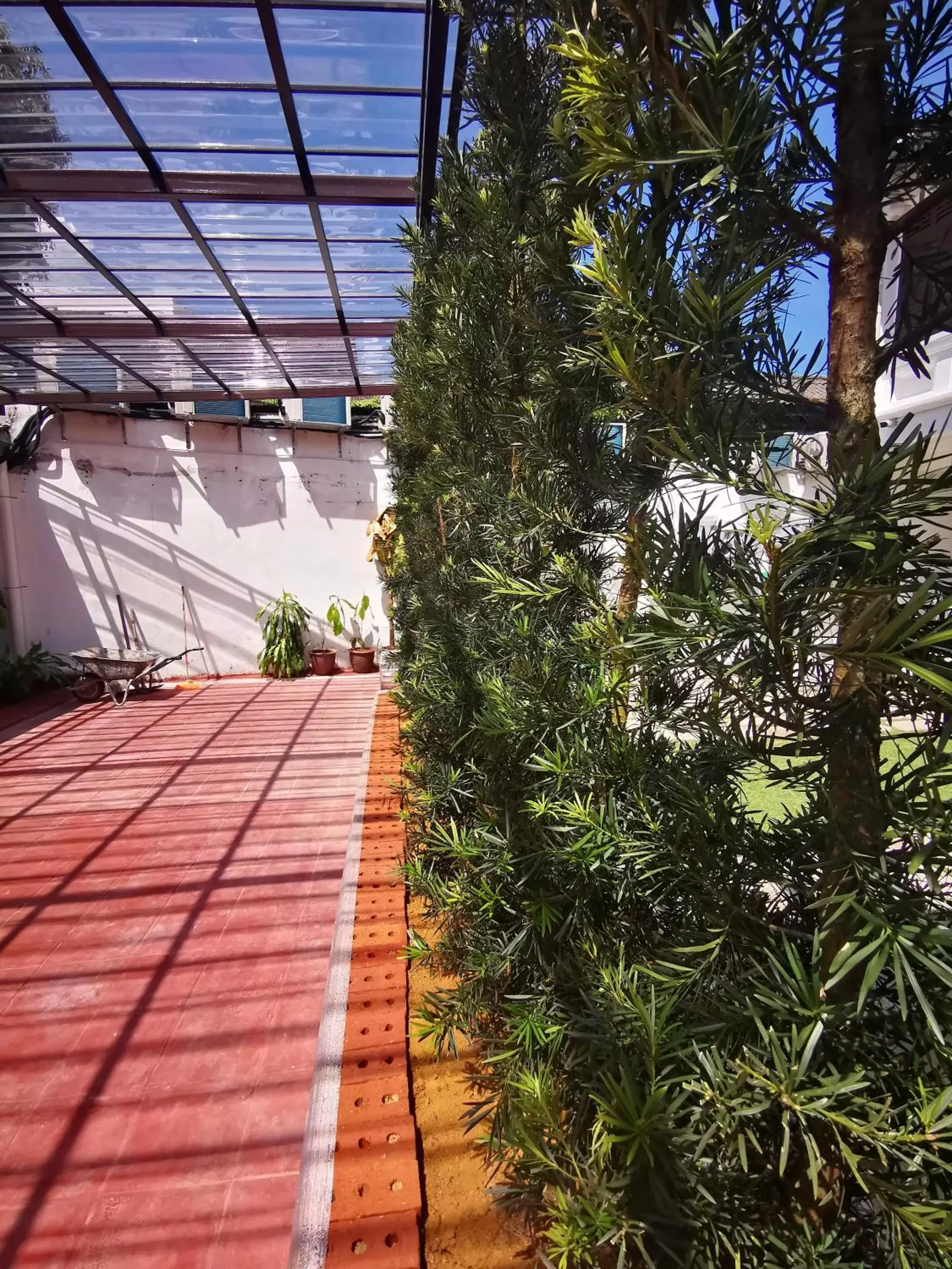 Garden in Mclane Boutique Hotel