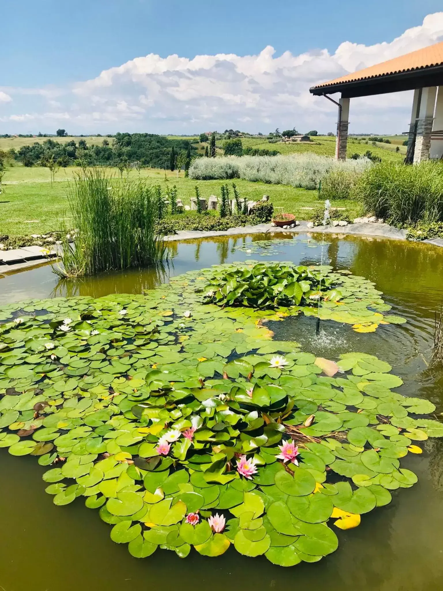 Garden in La collina delle fonti