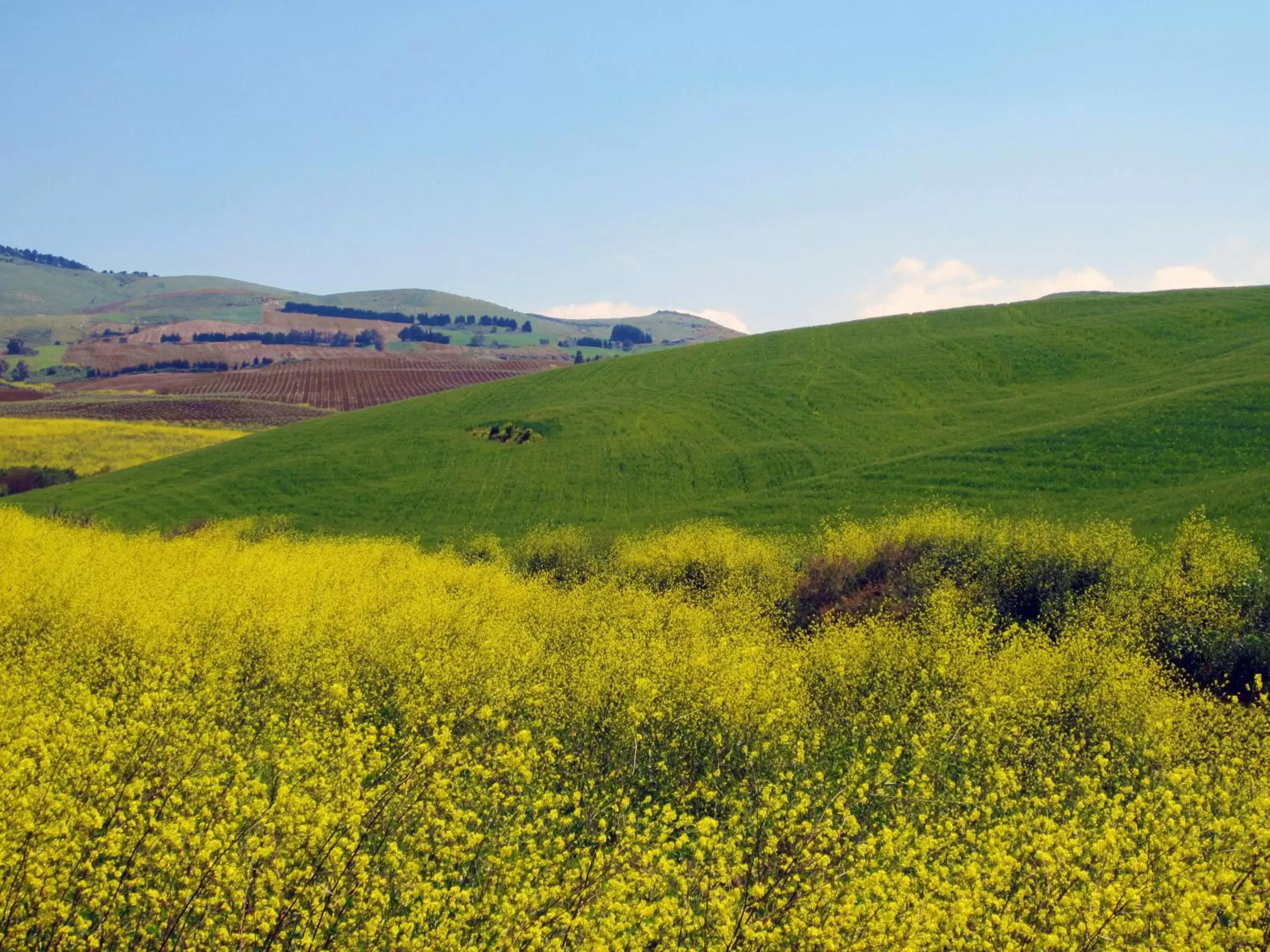 View (from property/room), Natural Landscape in Xanadu - Villa Giardinata