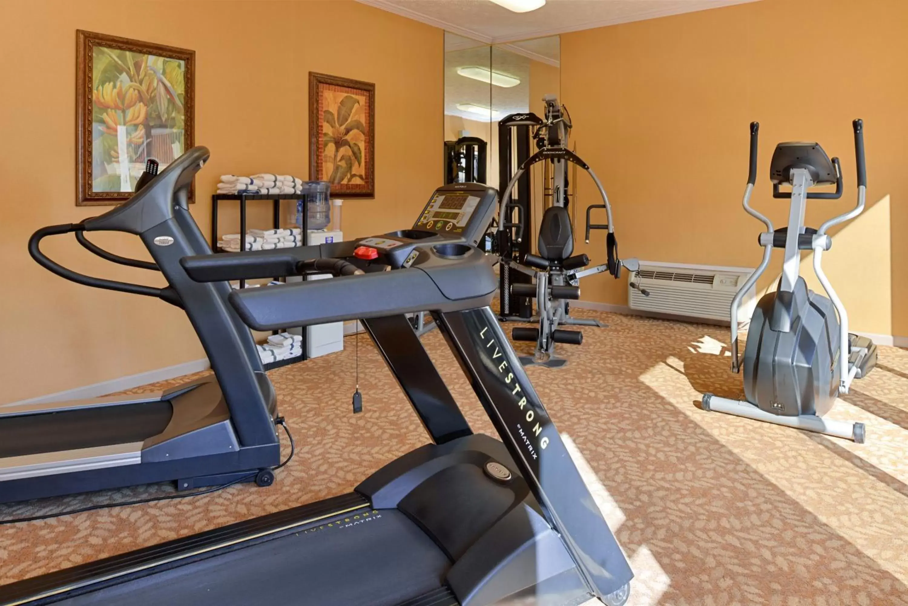 Fitness centre/facilities, Fitness Center/Facilities in SureStay Plus Hotel by Best Western Fayetteville