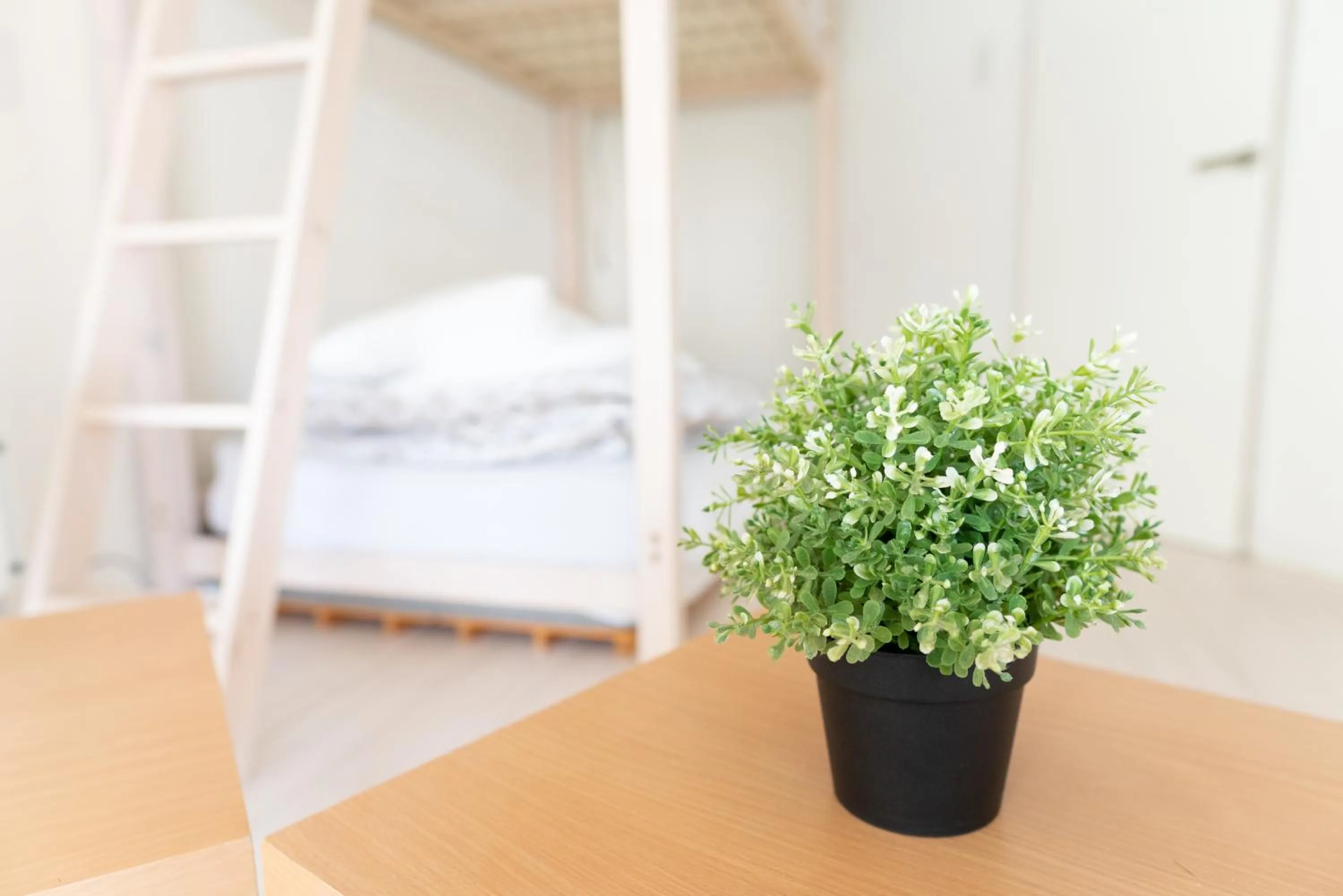 Photo of the whole room, Bed in Casa Blanca Guesthouse