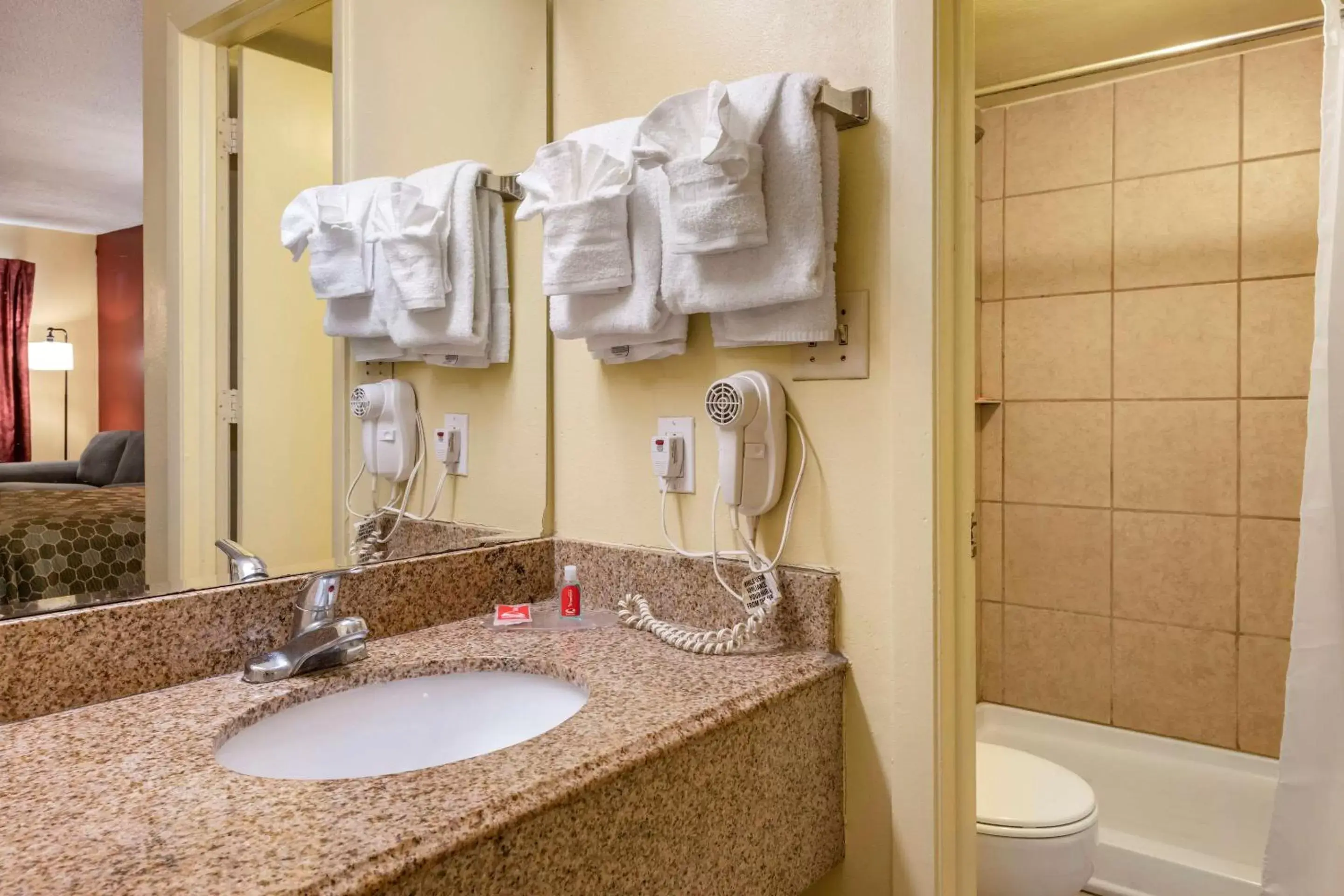 Bathroom in Econo Lodge Inn & Suites Maingate Central