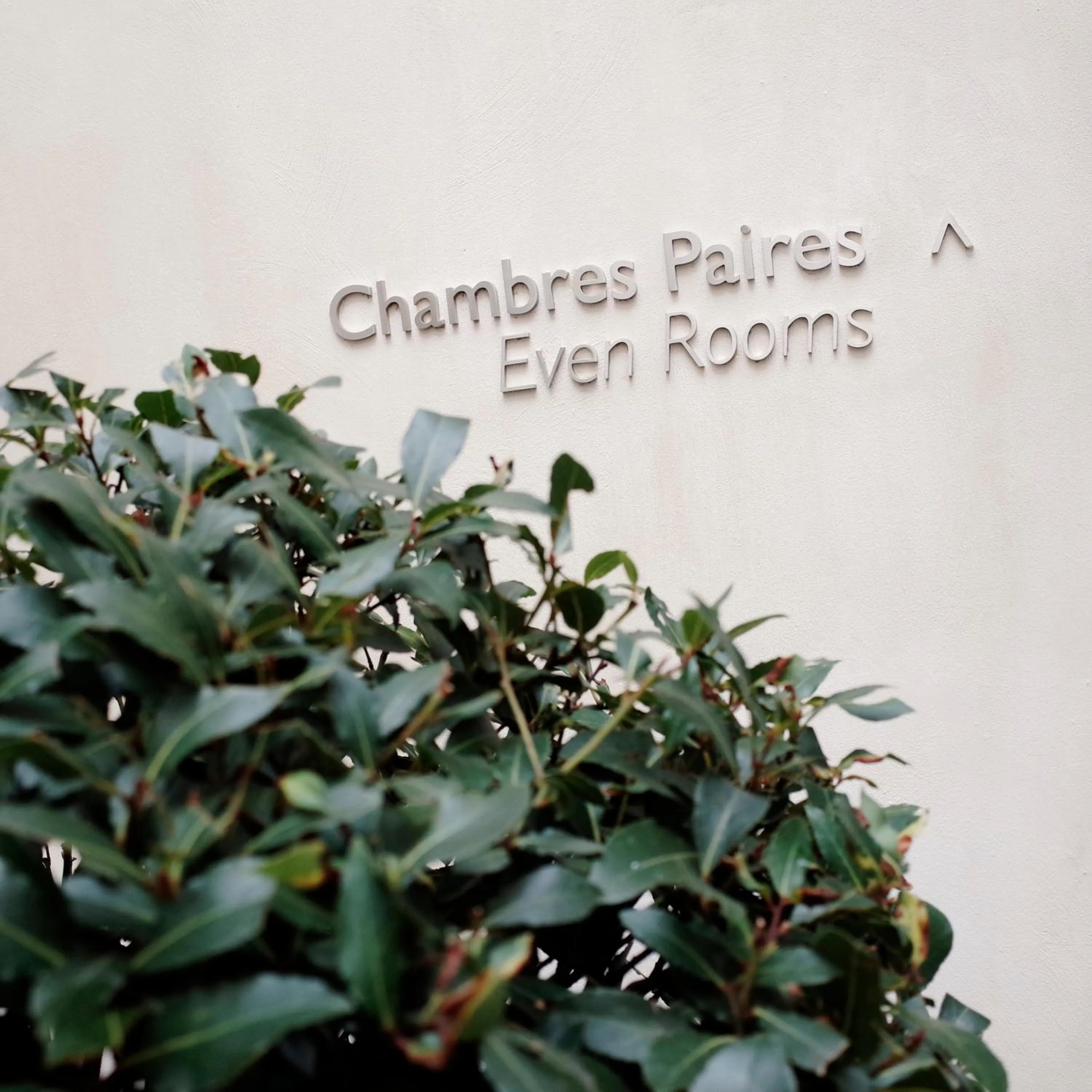 Decorative detail in Hotel Saint Dominique